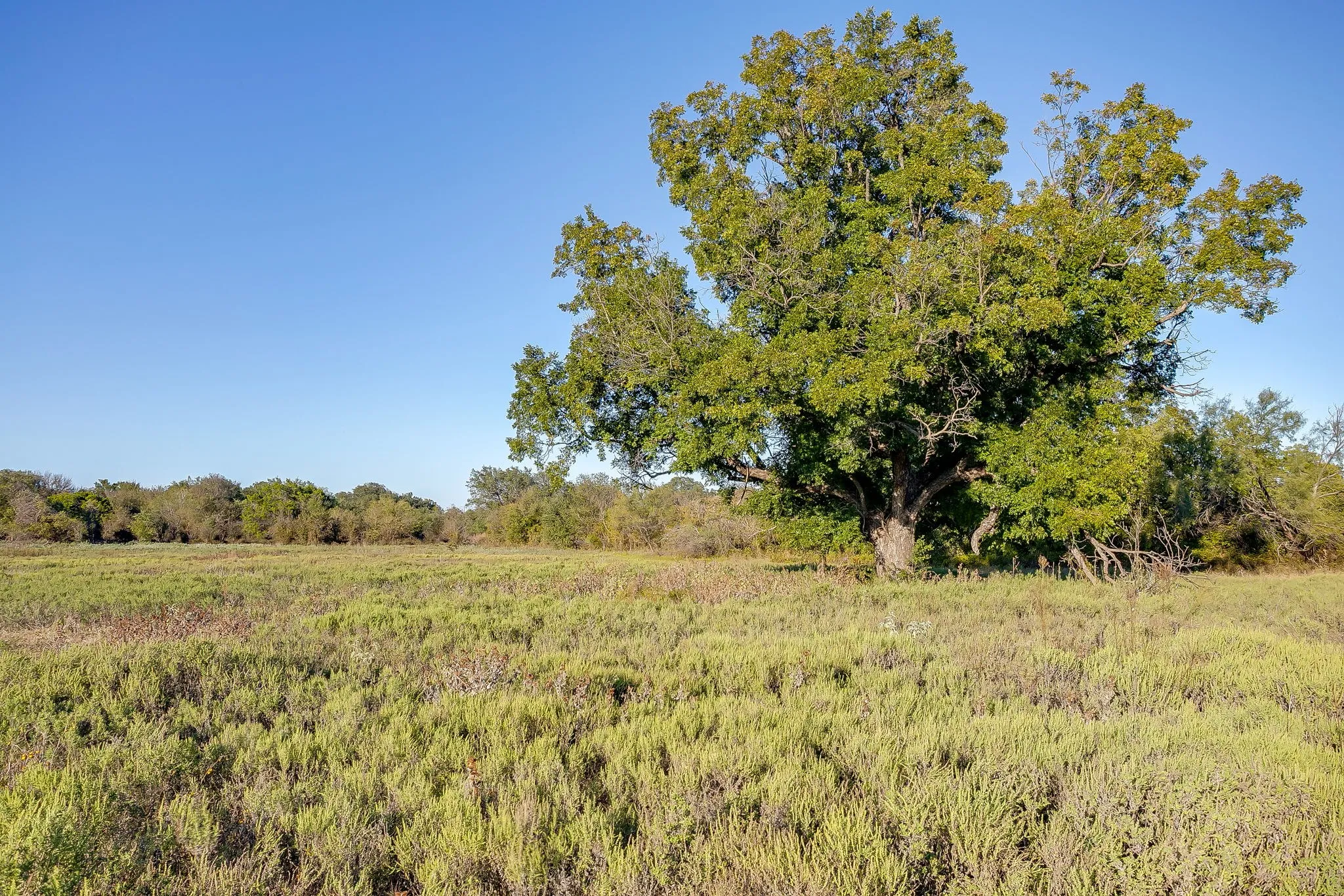 Single Family Residence For Sale in Palo Pinto County , 51 Cattle Trail Trail, Palo Pinto, Texas 76484, 0, 0, Garage spaces, 1 Sqft, built in 1900, Price $239,000, mls#21317486, Real Estate Agent in Palo Pinto, Homes For Sale in Palo Pinto county, Homes For Sale in Palo Pinto, Realtor in Palo Pinto Texas, Real Estate Brokerage Independent Realty Texas, Luminita Cordes Realtor