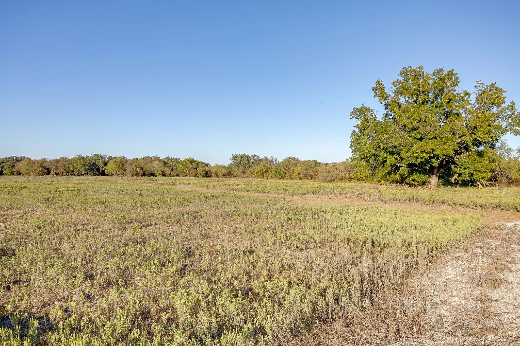 Single Family Residence For Sale in Palo Pinto County , 51 Cattle Trail Trail, Palo Pinto, Texas 76484, 0, 0, Garage spaces, 1 Sqft, built in 1900, Price $239,000, mls#21317486, Real Estate Agent in Palo Pinto, Homes For Sale in Palo Pinto county, Homes For Sale in Palo Pinto, Realtor in Palo Pinto Texas, Real Estate Brokerage Independent Realty Texas, Luminita Cordes Realtor