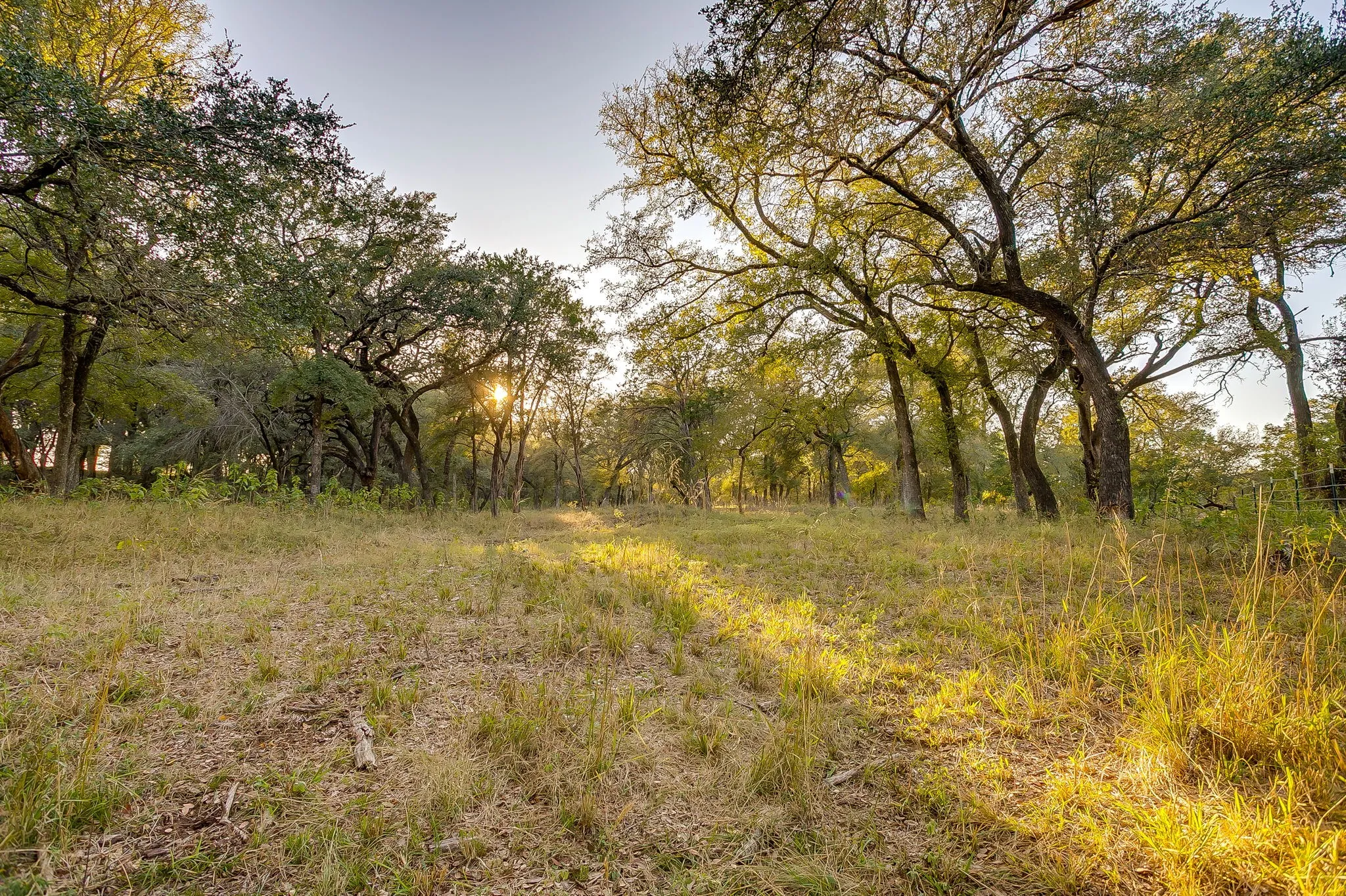 Single Family Residence For Sale in Palo Pinto County , 51 Cattle Trail Trail, Palo Pinto, Texas 76484, 0, 0, Garage spaces, 1 Sqft, built in 1900, Price $239,000, mls#21317486, Real Estate Agent in Palo Pinto, Homes For Sale in Palo Pinto county, Homes For Sale in Palo Pinto, Realtor in Palo Pinto Texas, Real Estate Brokerage Independent Realty Texas, Luminita Cordes Realtor