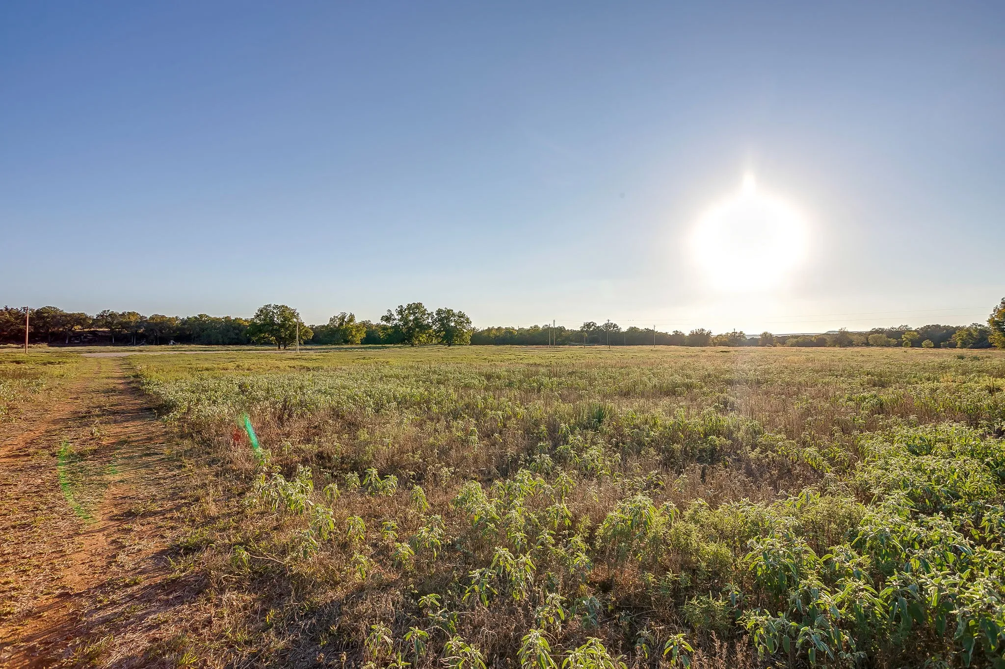 Single Family Residence For Sale in Palo Pinto County , 51 Cattle Trail Trail, Palo Pinto, Texas 76484, 0, 0, Garage spaces, 1 Sqft, built in 1900, Price $239,000, mls#21317486, Real Estate Agent in Palo Pinto, Homes For Sale in Palo Pinto county, Homes For Sale in Palo Pinto, Realtor in Palo Pinto Texas, Real Estate Brokerage Independent Realty Texas, Luminita Cordes Realtor