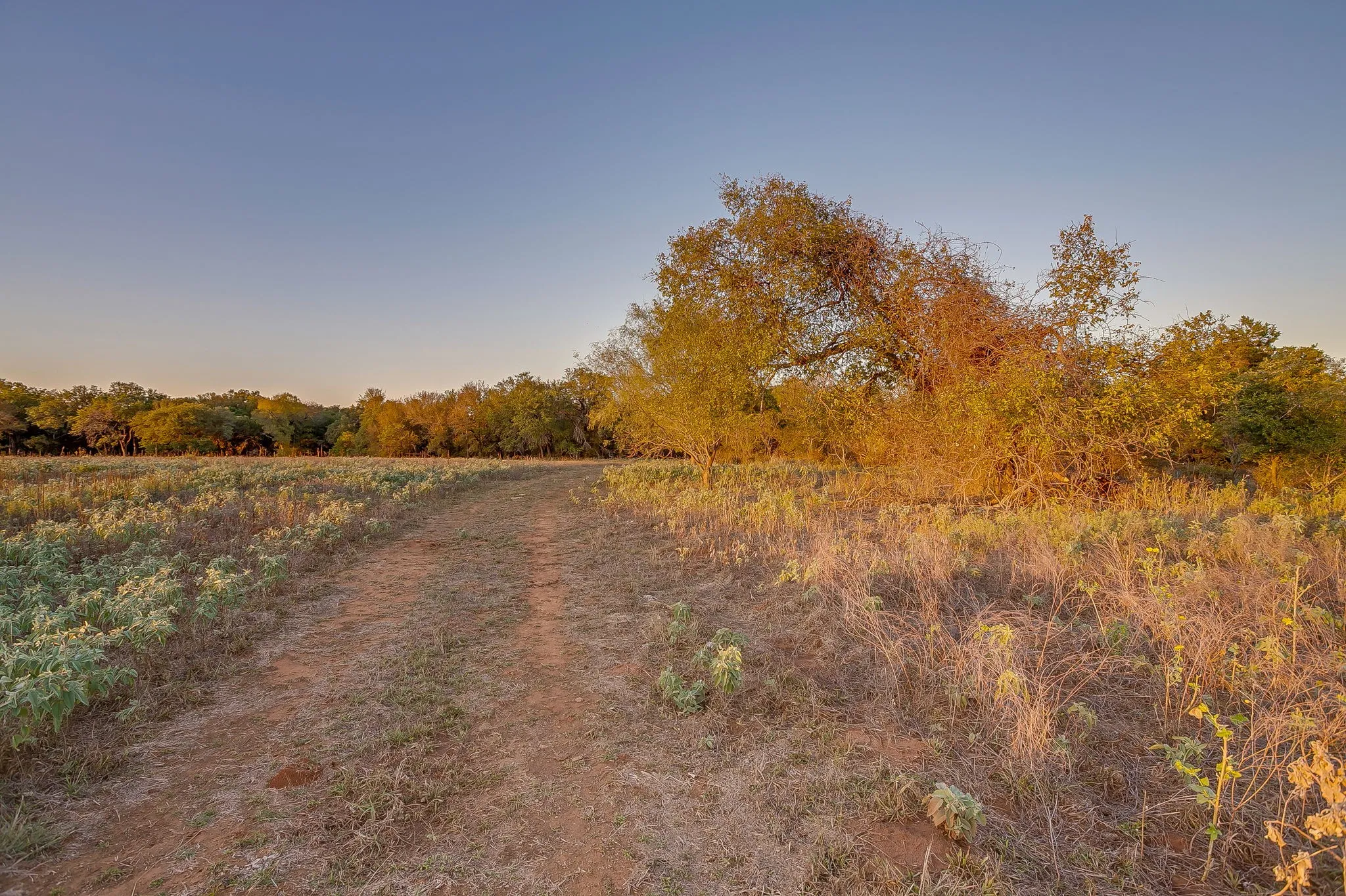 Single Family Residence For Sale in Palo Pinto County , 51 Cattle Trail Trail, Palo Pinto, Texas 76484, 0, 0, Garage spaces, 1 Sqft, built in 1900, Price $239,000, mls#21317486, Real Estate Agent in Palo Pinto, Homes For Sale in Palo Pinto county, Homes For Sale in Palo Pinto, Realtor in Palo Pinto Texas, Real Estate Brokerage Independent Realty Texas, Luminita Cordes Realtor