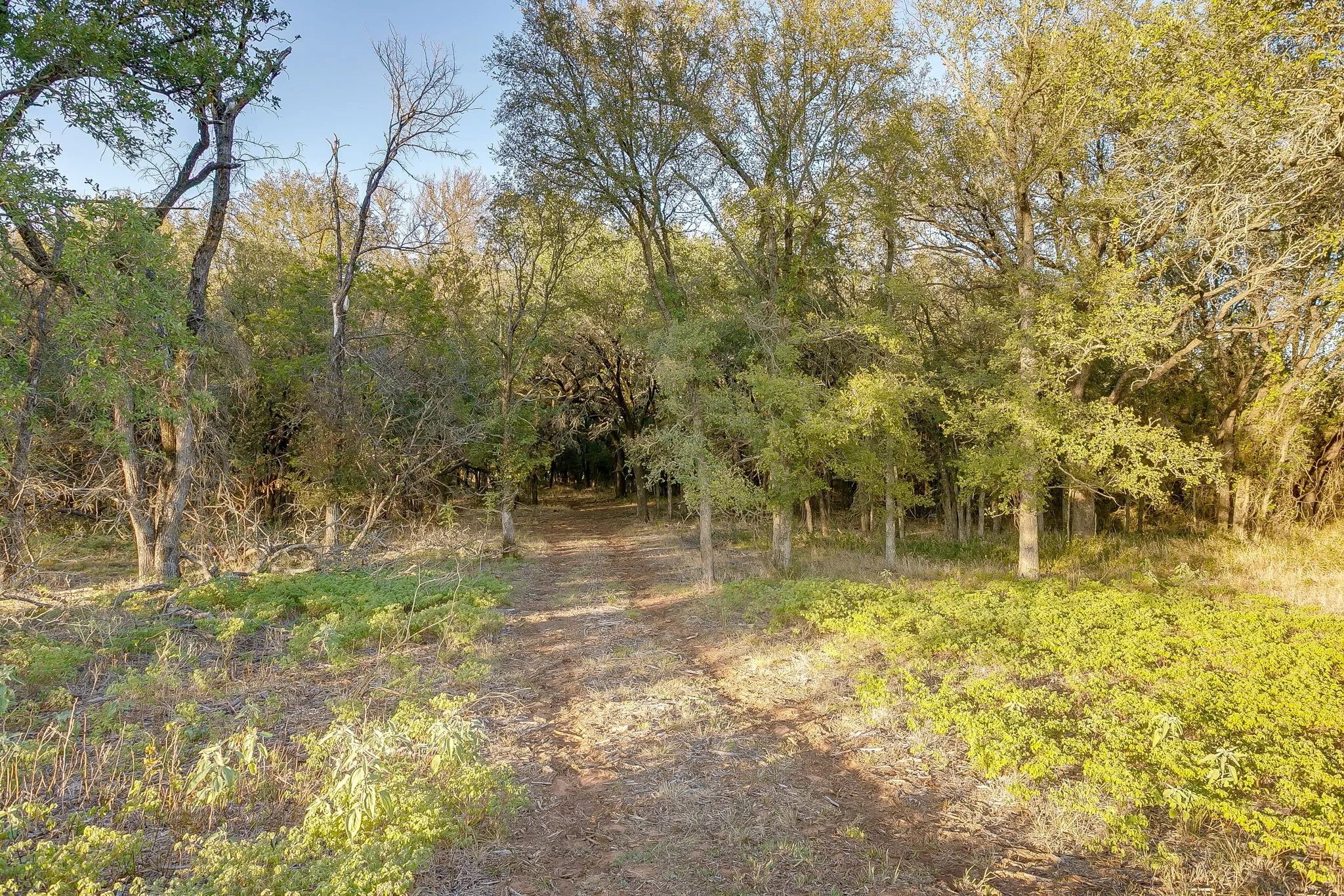 Single Family Residence For Sale in Palo Pinto County , 51 Cattle Trail Trail, Palo Pinto, Texas 76484, 0, 0, Garage spaces, 1 Sqft, built in 1900, Price $239,000, mls#21317486, Real Estate Agent in Palo Pinto, Homes For Sale in Palo Pinto county, Homes For Sale in Palo Pinto, Realtor in Palo Pinto Texas, Real Estate Brokerage Independent Realty Texas, Luminita Cordes Realtor