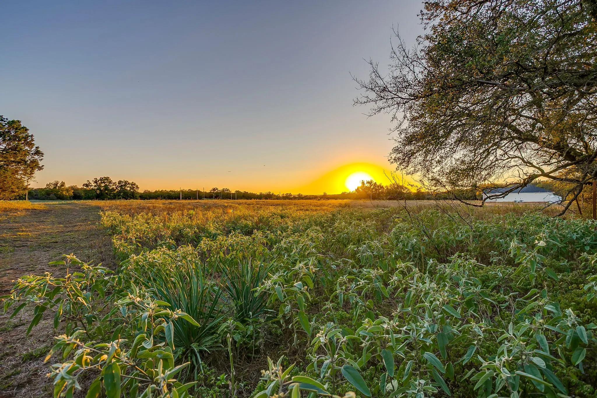 Single Family Residence For Sale in Palo Pinto County , 51 Cattle Trail Trail, Palo Pinto, Texas 76484, 0, 0, Garage spaces, 1 Sqft, built in 1900, Price $239,000, mls#21317486, Real Estate Agent in Palo Pinto, Homes For Sale in Palo Pinto county, Homes For Sale in Palo Pinto, Realtor in Palo Pinto Texas, Real Estate Brokerage Independent Realty Texas, Luminita Cordes Realtor