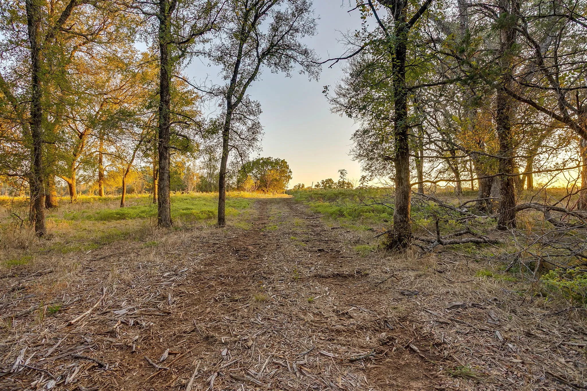 Single Family Residence For Sale in Palo Pinto County , 51 Cattle Trail Trail, Palo Pinto, Texas 76484, 0, 0, Garage spaces, 1 Sqft, built in 1900, Price $239,000, mls#21317486, Real Estate Agent in Palo Pinto, Homes For Sale in Palo Pinto county, Homes For Sale in Palo Pinto, Realtor in Palo Pinto Texas, Real Estate Brokerage Independent Realty Texas, Luminita Cordes Realtor