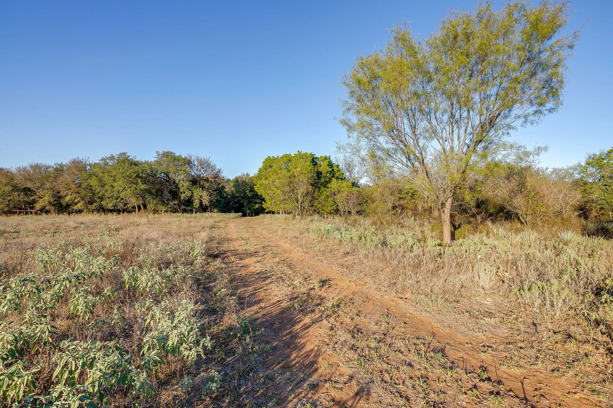 Single Family Residence For Sale in Palo Pinto County , 51 Cattle Trail Trail, Palo Pinto, Texas 76484, 0, 0, Garage spaces, 1 Sqft, built in 1900, Price $239,000, mls#21317486, Real Estate Agent in Palo Pinto, Homes For Sale in Palo Pinto county, Homes For Sale in Palo Pinto, Realtor in Palo Pinto Texas, Real Estate Brokerage Independent Realty Texas, Luminita Cordes Realtor