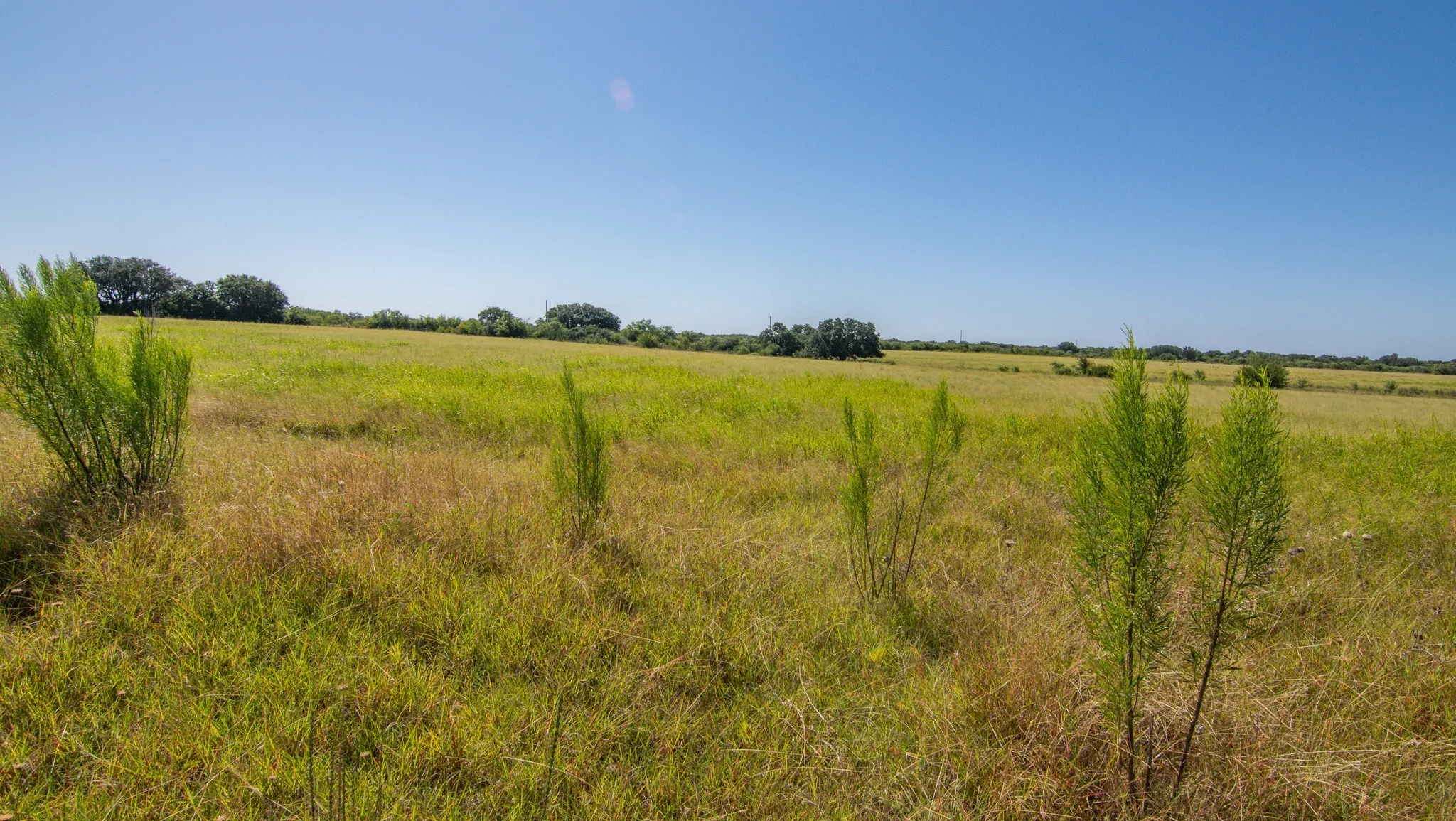 Ranch For Sale in Brown County , 6187 FM 586b S, Bangs, Texas 76823, 0, 0, Garage spaces, 0 Sqft, built in 0, mls#21343913, Real Estate Agent in Bangs, Homes For Sale in Brown county, Homes For Sale in Bangs, Realtor in Bangs Texas, Real Estate Brokerage Independent Realty Texas, Luminita Cordes Realtor