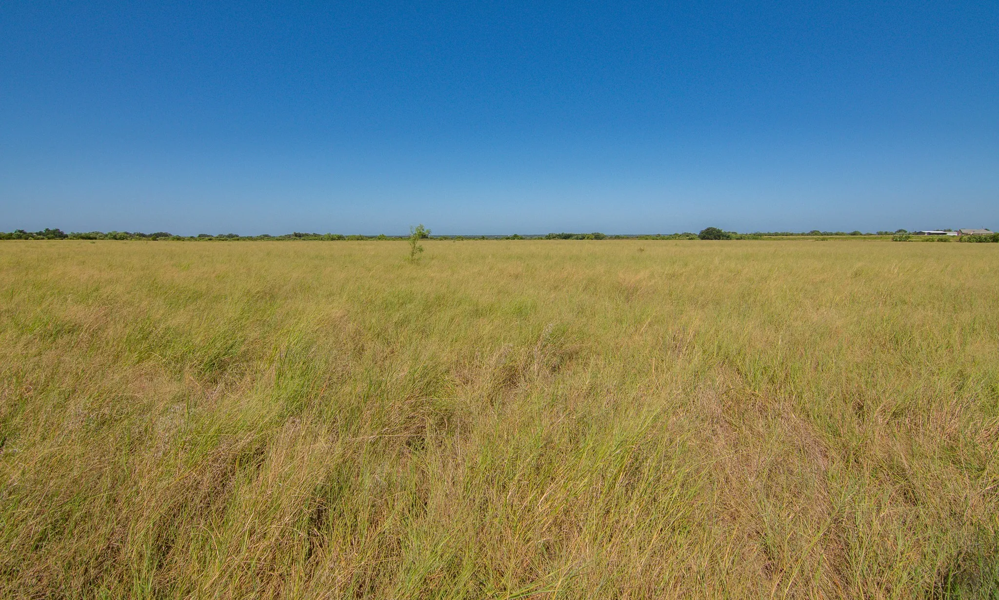 Ranch For Sale in Brown County , 6187 FM 586b S, Bangs, Texas 76823, 0, 0, Garage spaces, 0 Sqft, built in 0, mls#21343913, Real Estate Agent in Bangs, Homes For Sale in Brown county, Homes For Sale in Bangs, Realtor in Bangs Texas, Real Estate Brokerage Independent Realty Texas, Luminita Cordes Realtor