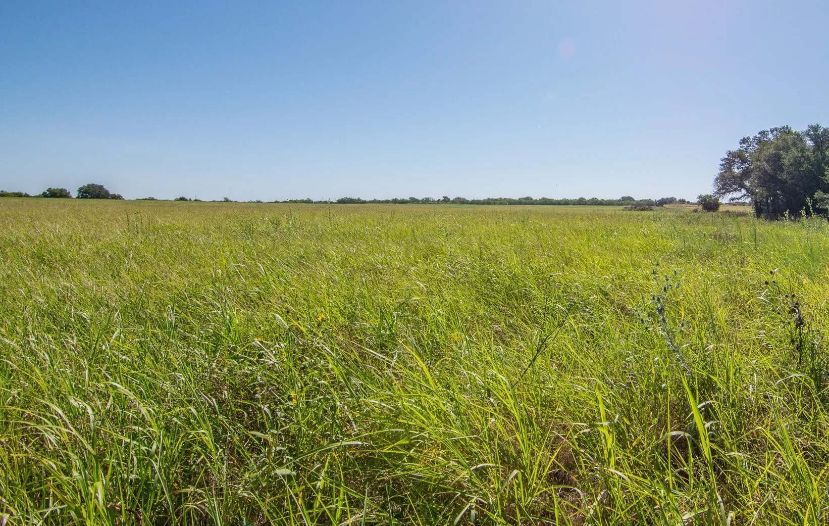 Ranch For Sale in Brown County , 6187 FM 586b S, Bangs, Texas 76823, 0, 0, Garage spaces, 0 Sqft, built in 0, mls#21343913, Real Estate Agent in Bangs, Homes For Sale in Brown county, Homes For Sale in Bangs, Realtor in Bangs Texas, Real Estate Brokerage Independent Realty Texas, Luminita Cordes Realtor