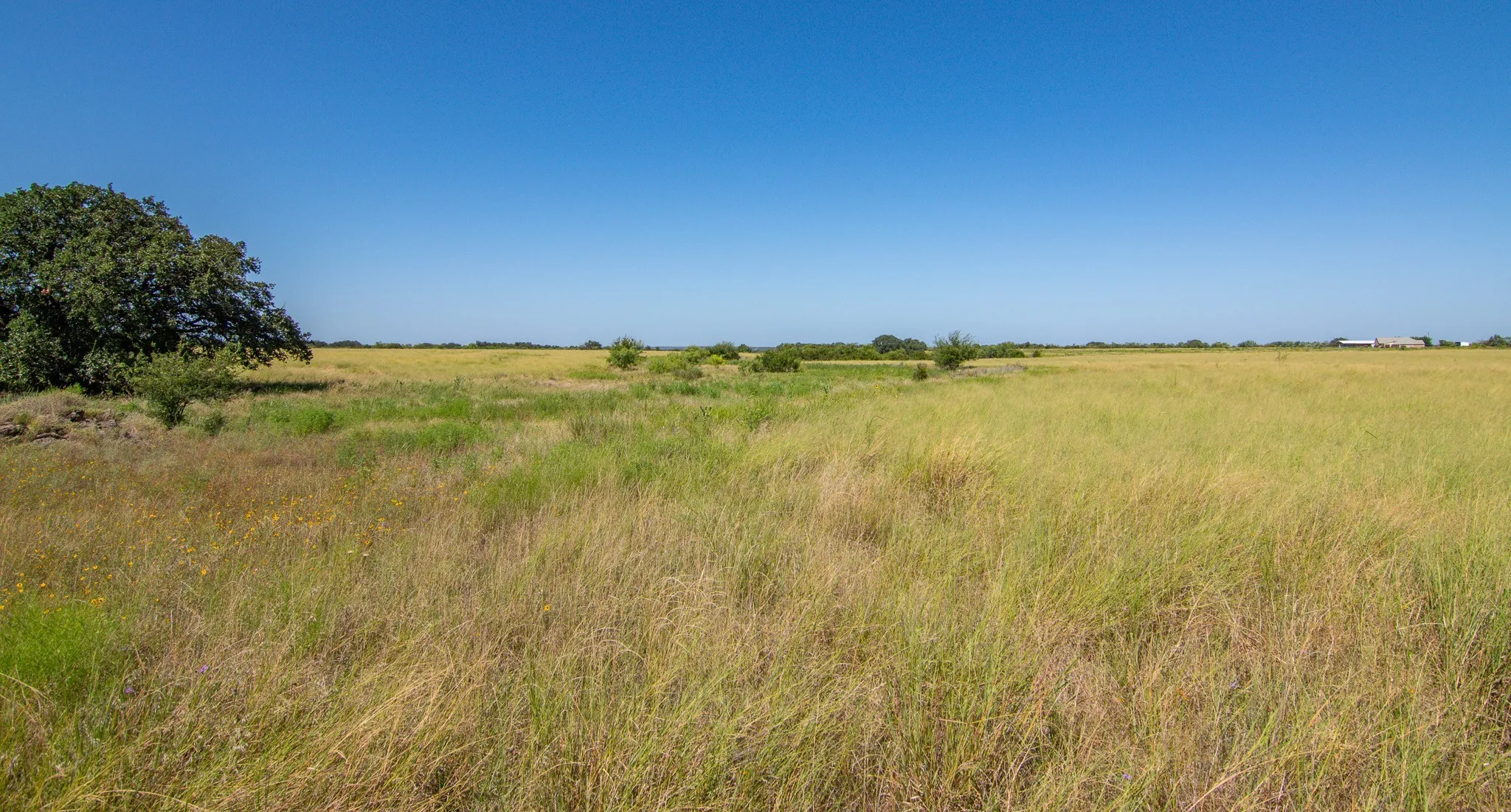 Ranch For Sale in Brown County , 6187 FM 586b S, Bangs, Texas 76823, 0, 0, Garage spaces, 0 Sqft, built in 0, mls#21343913, Real Estate Agent in Bangs, Homes For Sale in Brown county, Homes For Sale in Bangs, Realtor in Bangs Texas, Real Estate Brokerage Independent Realty Texas, Luminita Cordes Realtor