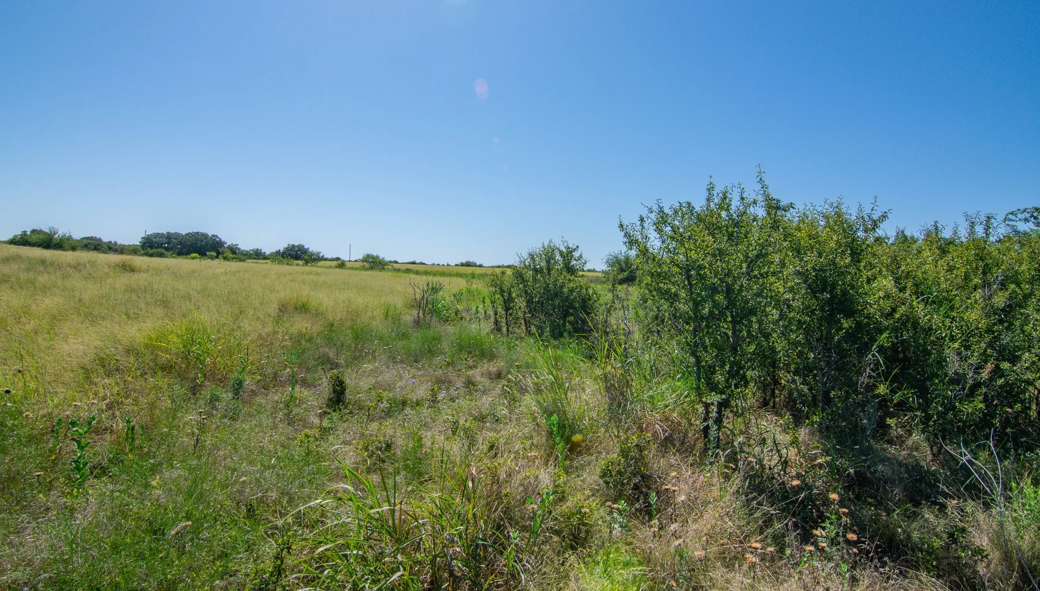 Ranch For Sale in Brown County , 6187 FM 586b S, Bangs, Texas 76823, 0, 0, Garage spaces, 0 Sqft, built in 0, mls#21343913, Real Estate Agent in Bangs, Homes For Sale in Brown county, Homes For Sale in Bangs, Realtor in Bangs Texas, Real Estate Brokerage Independent Realty Texas, Luminita Cordes Realtor