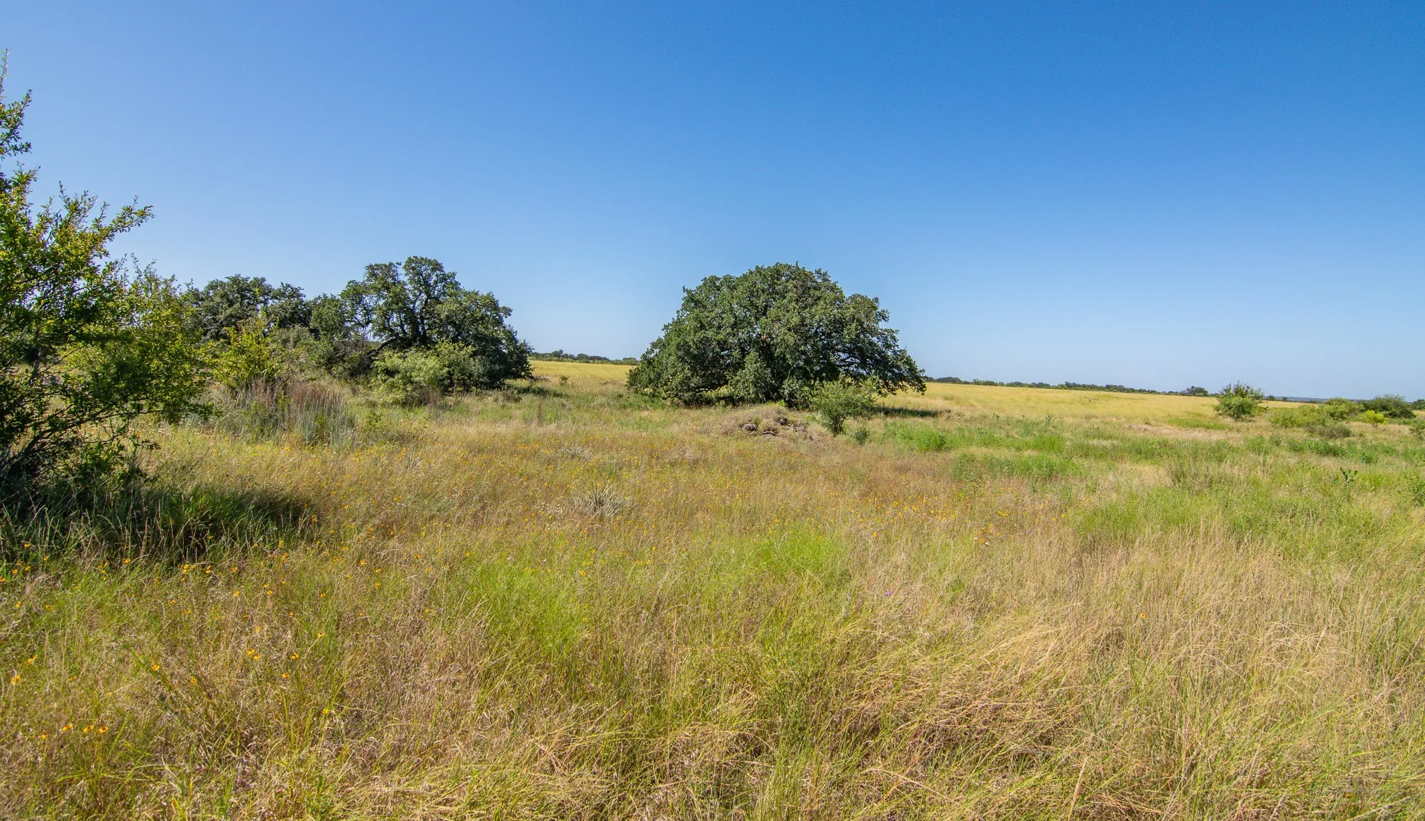 Ranch For Sale in Brown County , 6187 FM 586b S, Bangs, Texas 76823, 0, 0, Garage spaces, 0 Sqft, built in 0, mls#21343913, Real Estate Agent in Bangs, Homes For Sale in Brown county, Homes For Sale in Bangs, Realtor in Bangs Texas, Real Estate Brokerage Independent Realty Texas, Luminita Cordes Realtor