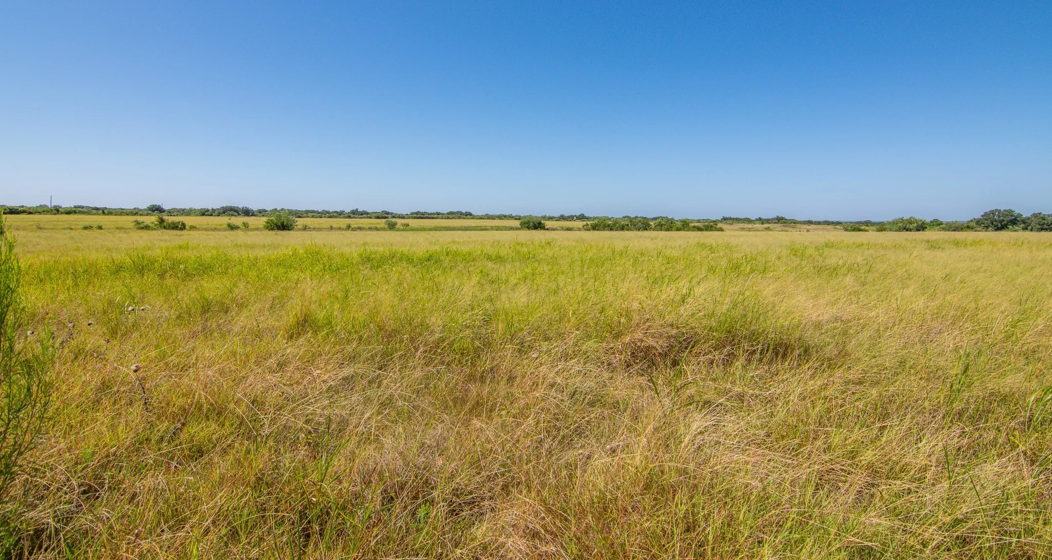 Ranch For Sale in Brown County , 6187 FM 586b S, Bangs, Texas 76823, 0, 0, Garage spaces, 0 Sqft, built in 0, mls#21343913, Real Estate Agent in Bangs, Homes For Sale in Brown county, Homes For Sale in Bangs, Realtor in Bangs Texas, Real Estate Brokerage Independent Realty Texas, Luminita Cordes Realtor