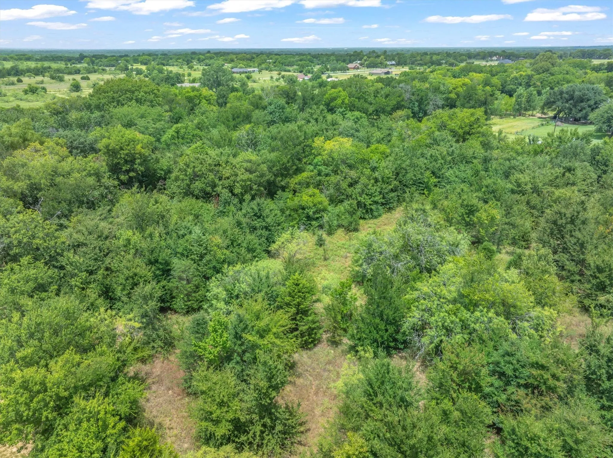 Unimproved Land For Sale in Van Zandt County , Lot 19 & 20 FM 47, Wills Point, Texas 75169, 0, 0, Garage spaces, 0 Sqft, built in 0, mls#21343832, Real Estate Agent in Wills Point, Homes For Sale in Van Zandt county, Homes For Sale in Wills Point, Realtor in Wills Point Texas, Real Estate Brokerage Independent Realty Texas, Luminita Cordes Realtor