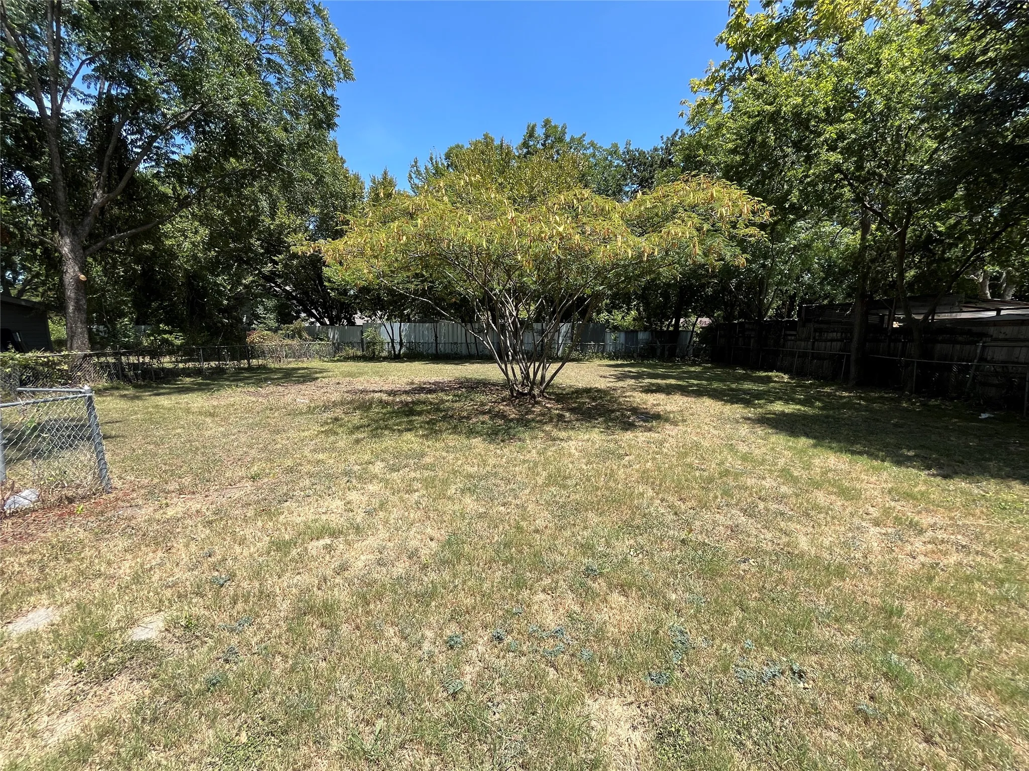 Spacious backyard featuring a central mature tree, surrounded by additional perimeter trees providing natural shade
