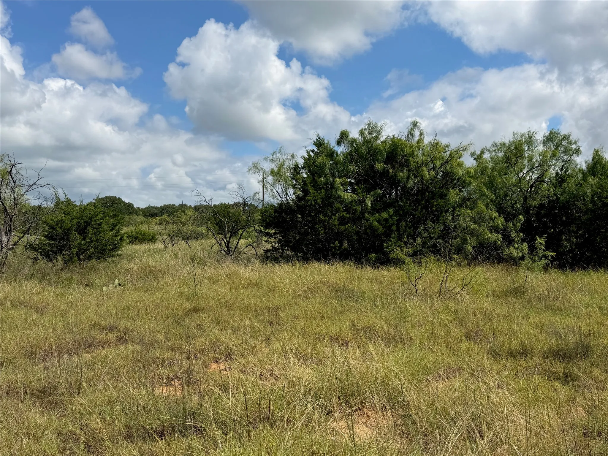 Expansive natural landscape featuring varied topography, mature trees, and native grasses under a broad sky