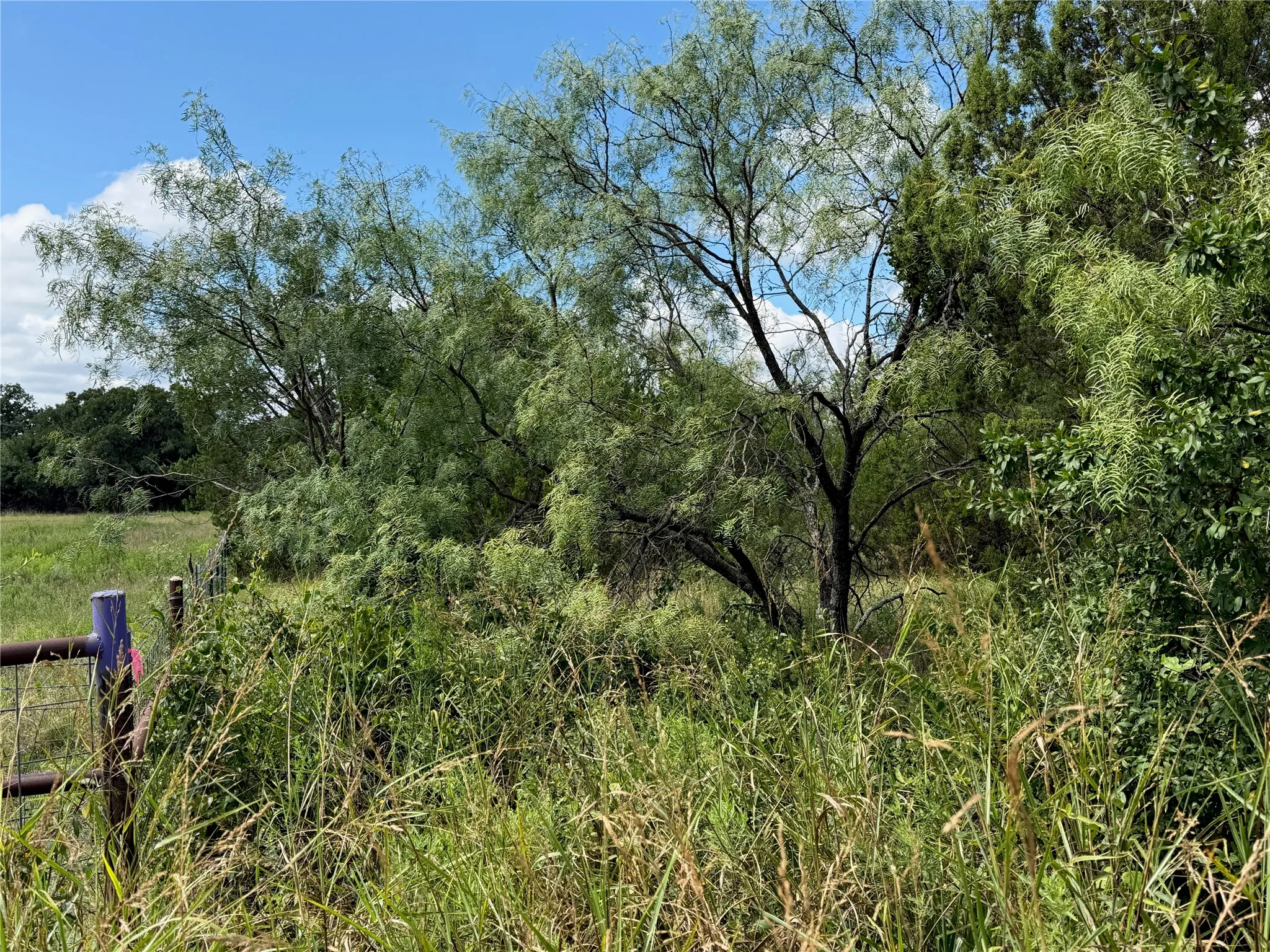 Front left corner of the property