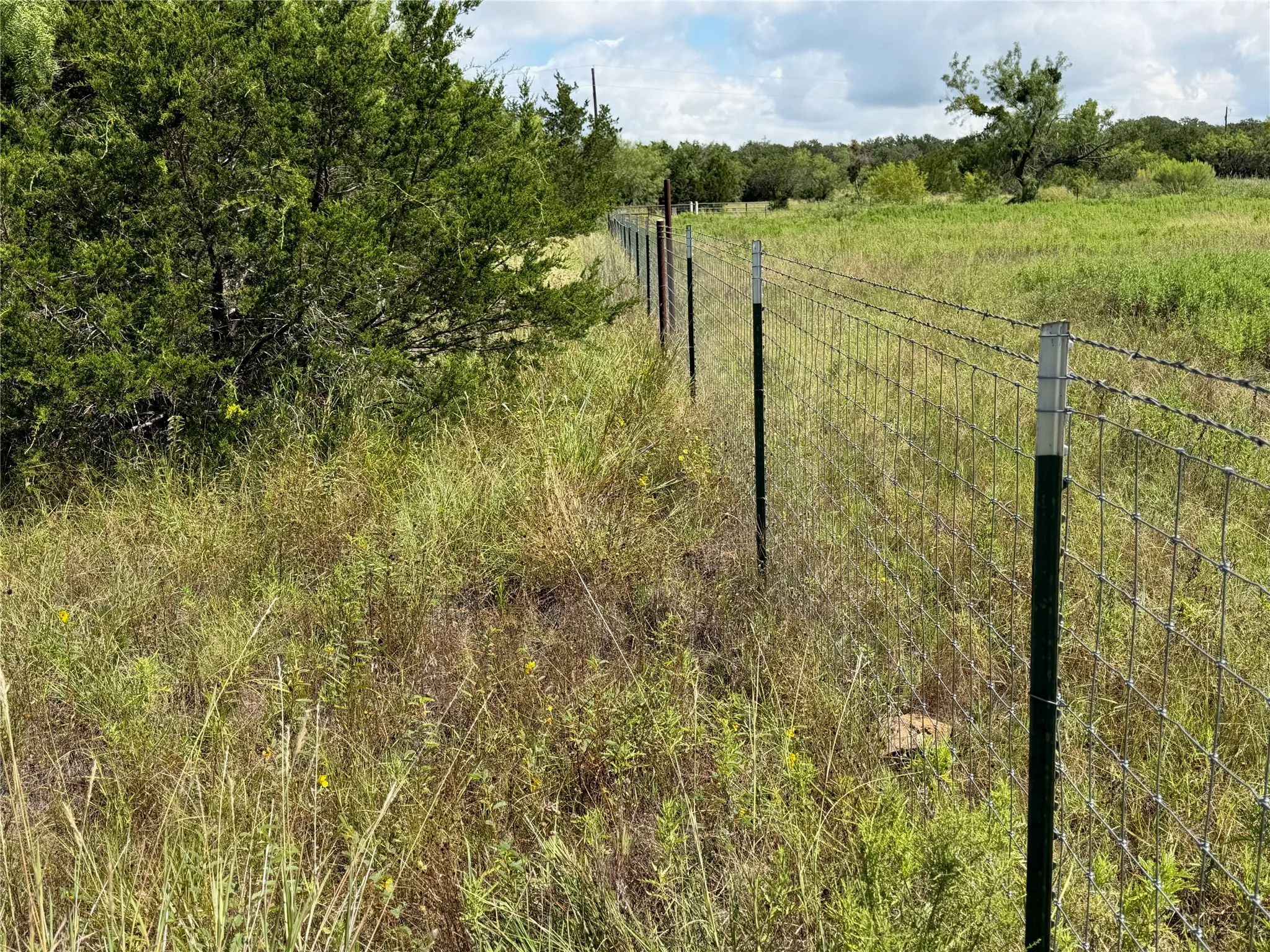 Fence line
