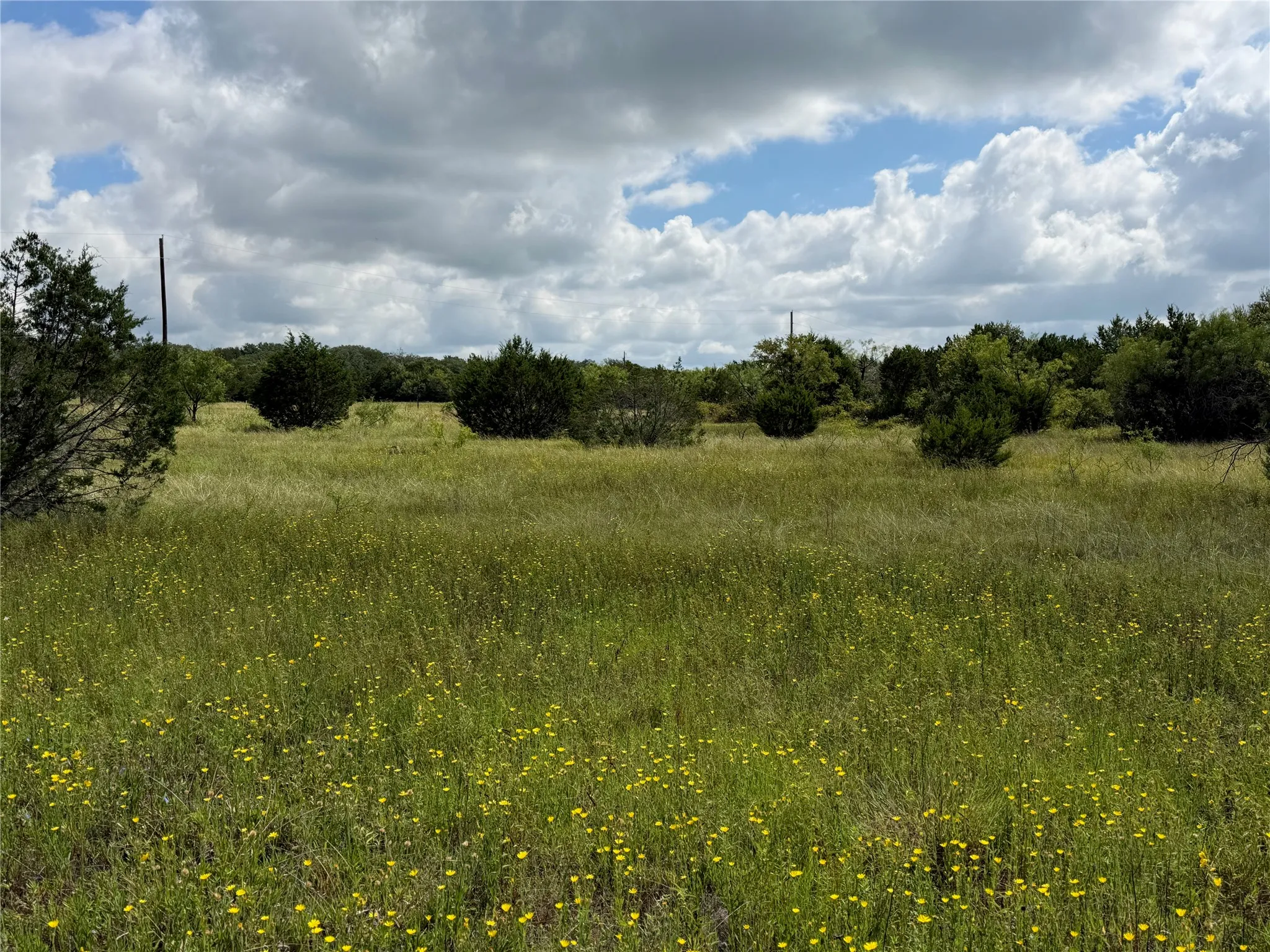 Expansive open acreage featuring natural vegetation and scattered trees