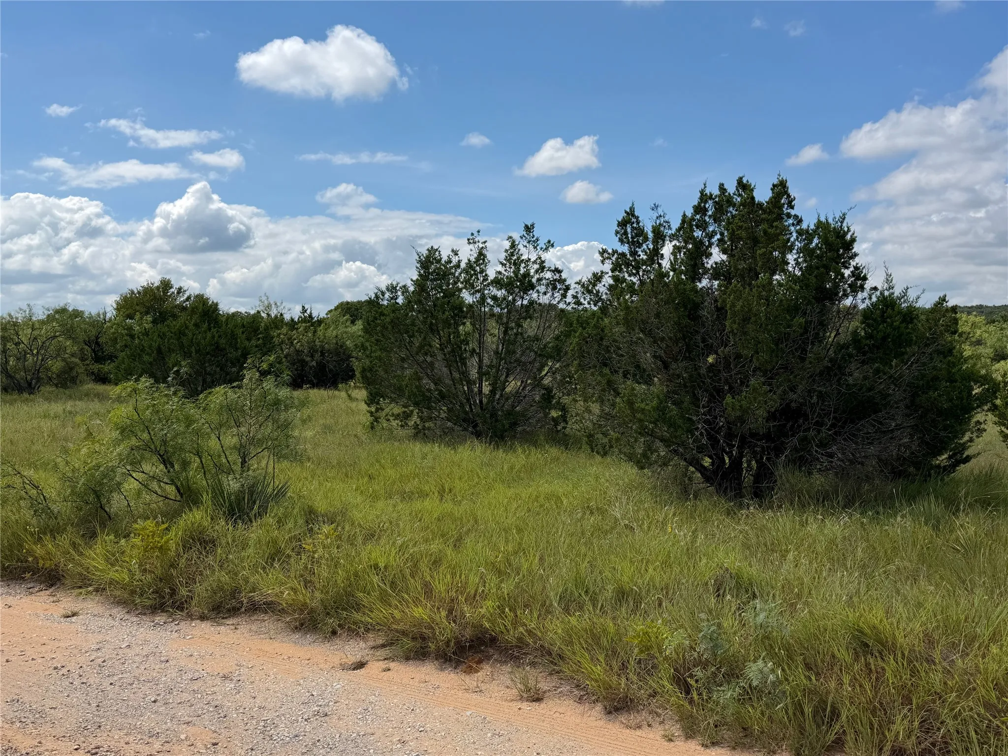 Expansive natural landscape featuring varied green foliage, mature trees, and a clear sky with scattered clouds