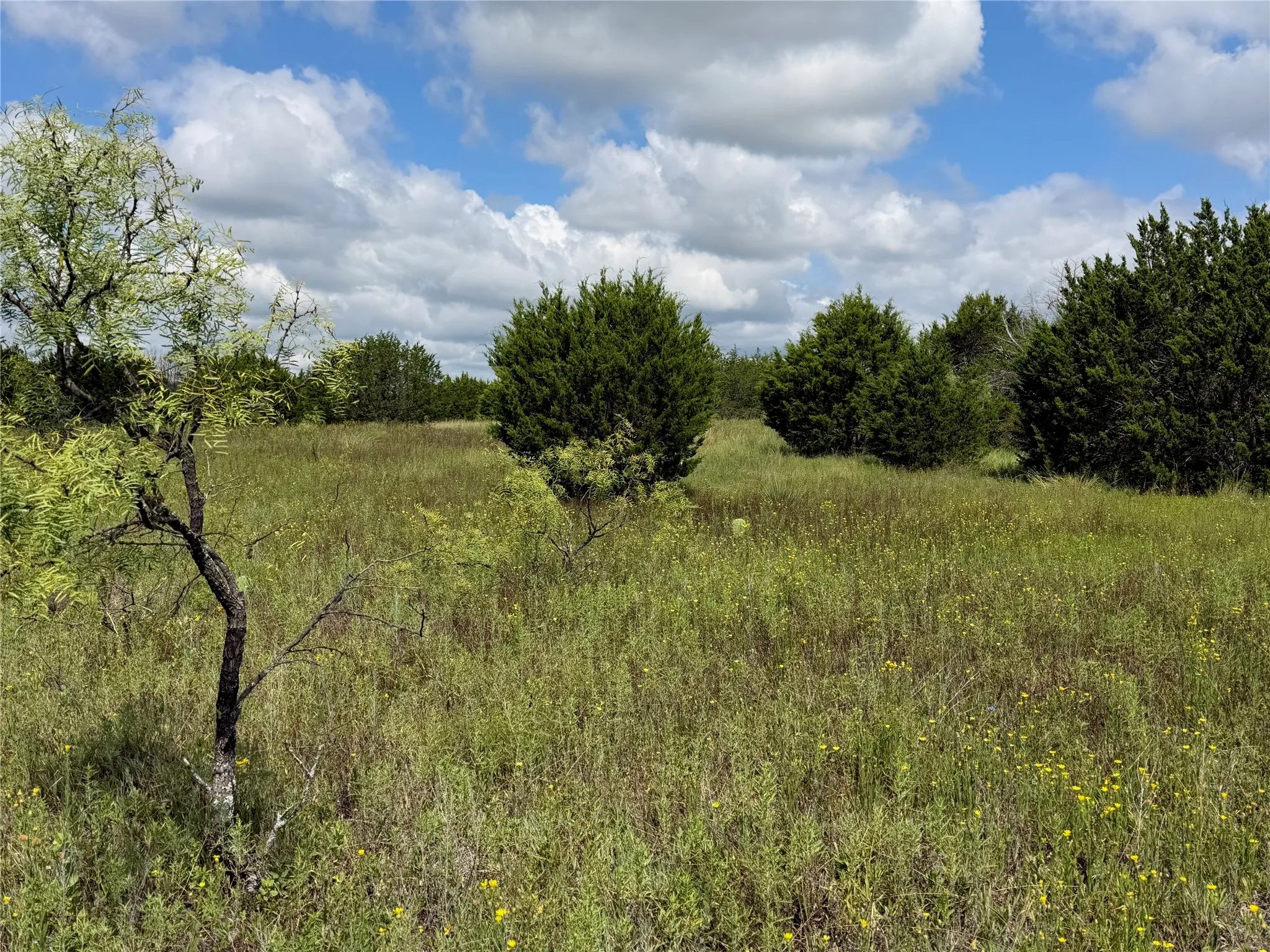 Expansive natural landscape featuring varied foliage and open areas