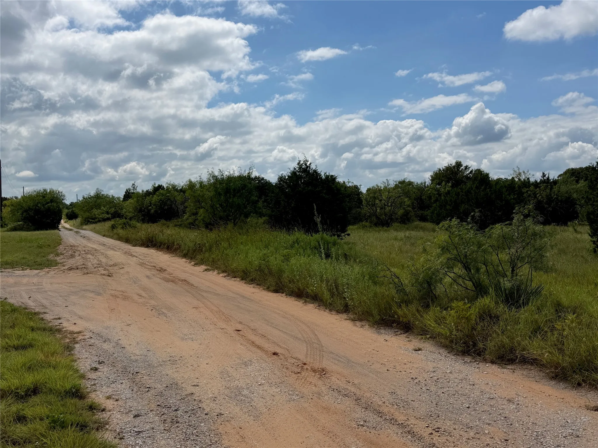 Expansive land parcel with a gravel road, abundant natural vegetation, and a clear sky