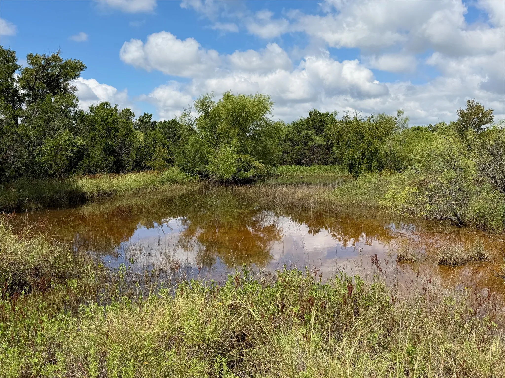 Unimproved Land For Sale in Brown County , 3 Sean Lane, Bangs, Texas 76823, 0, 0, Garage spaces, 0 Sqft, built in 0, Price $119,900, mls#21343911, Real Estate Agent in Bangs, Homes For Sale in Brown county, Homes For Sale in Bangs, Realtor in Bangs Texas, Real Estate Brokerage Independent Realty Texas, Luminita Cordes Realtor