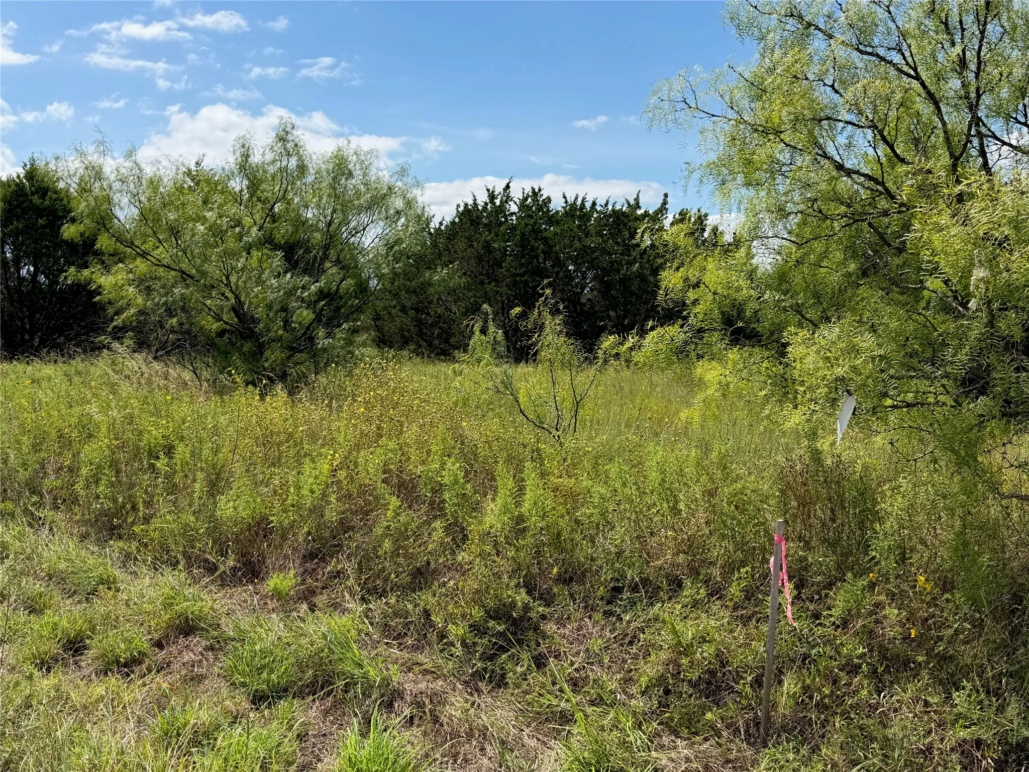 Expansive undeveloped parcel featuring established trees and natural foliage