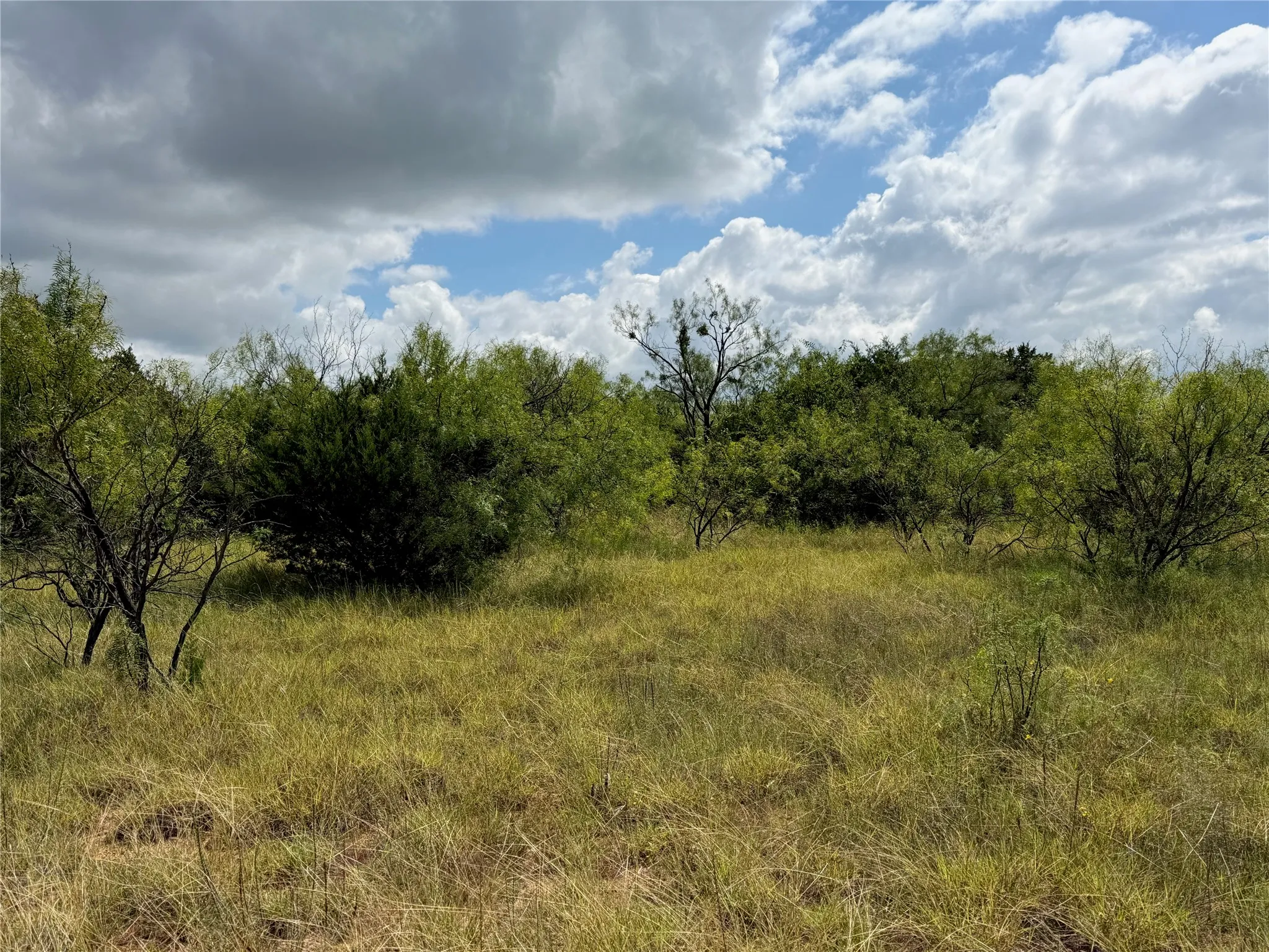 Expansive natural landscape featuring varied green foliage and mature brush