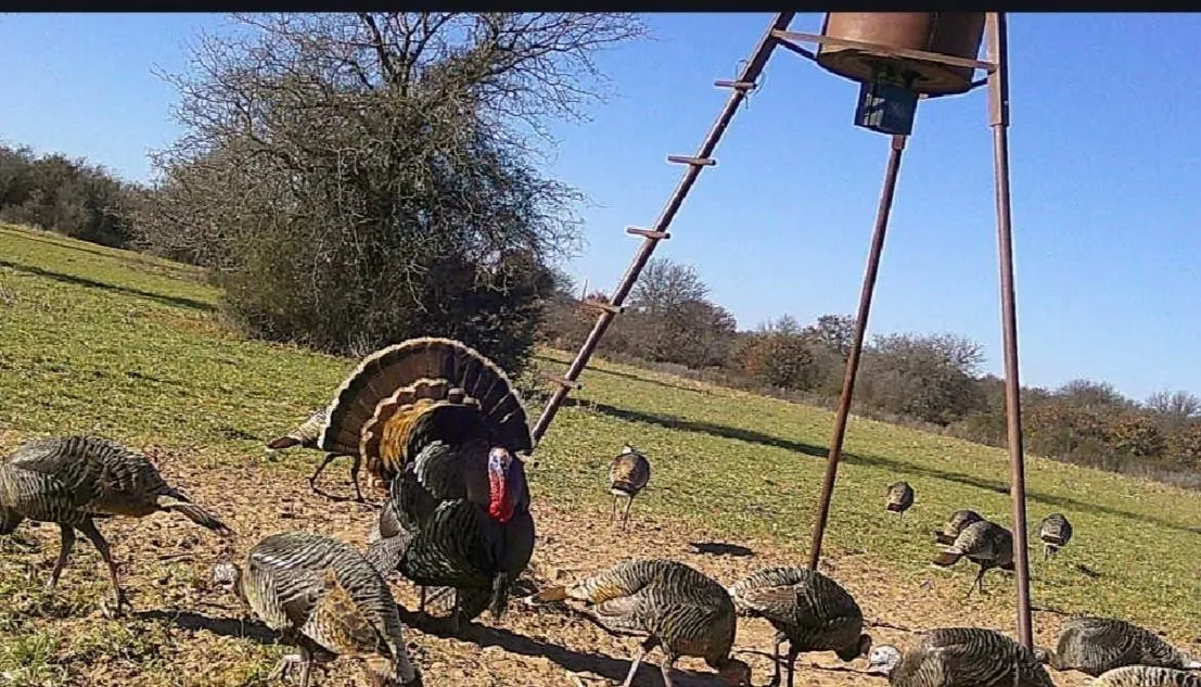 Farm For Sale in Callahan County , 636 PRIVATE ROAD 4691, Baird, Texas 79504, 3 Bedroom, 2 Bathroom, Garage spaces, 2,500 Sqft, built in 2018, mls#21343943, Real Estate Agent in Baird, Homes For Sale in Callahan county, Homes For Sale in Baird, Realtor in Baird Texas, Real Estate Brokerage Independent Realty Texas, Luminita Cordes Realtor