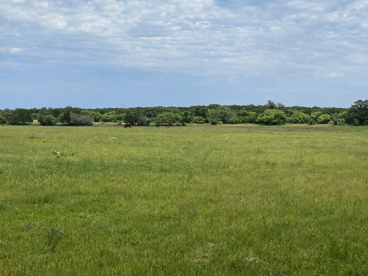 18+/- Acres Coastal Field