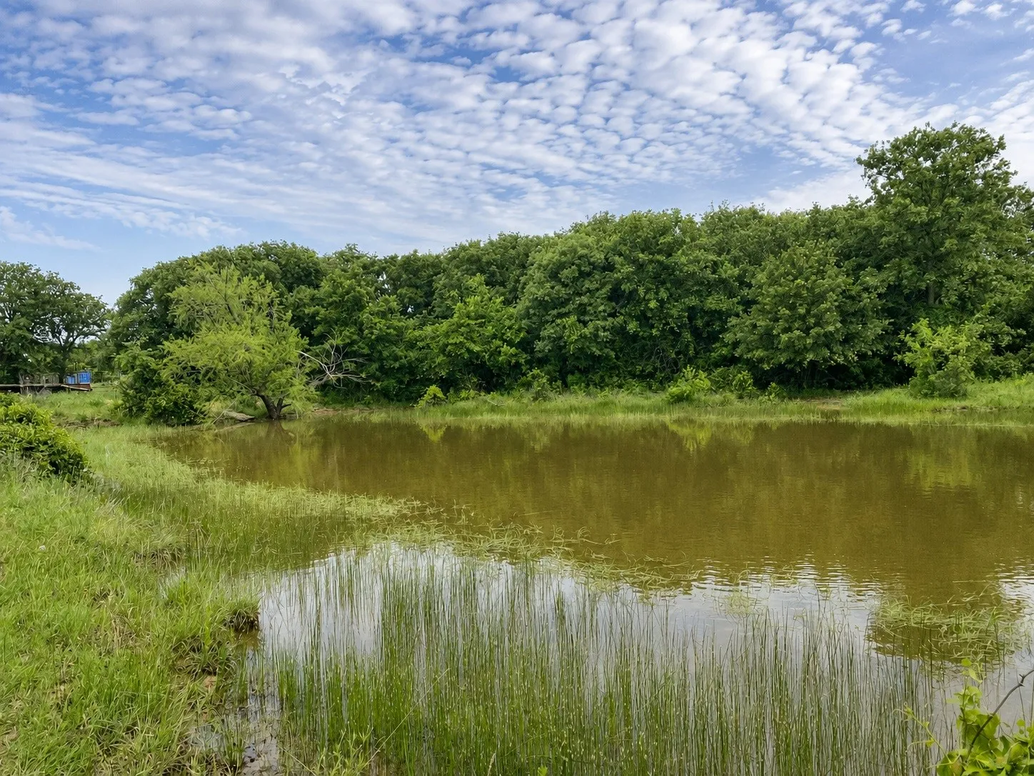 Farm For Sale in Callahan County , 636 PRIVATE ROAD 4691, Baird, Texas 79504, 3 Bedroom, 2 Bathroom, Garage spaces, 2,500 Sqft, built in 2018, mls#21343943, Real Estate Agent in Baird, Homes For Sale in Callahan county, Homes For Sale in Baird, Realtor in Baird Texas, Real Estate Brokerage Independent Realty Texas, Luminita Cordes Realtor