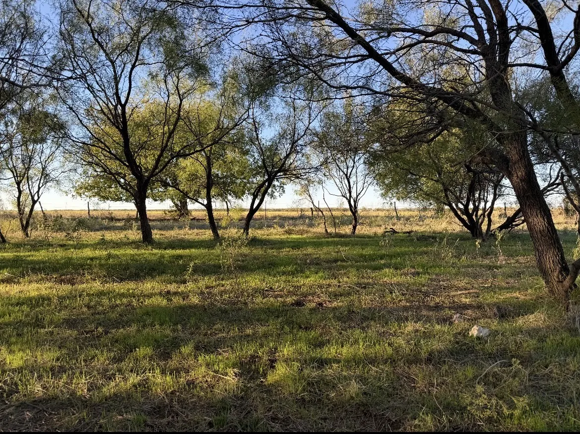 Single Family Residence For Sale in Young County , 2241 Schlegel Road, Olney, Texas 76374, 3 Bedroom, 2 Bathroom, 1 Garage spaces, 1,424 Sqft, built in 1950, mls#21343946, Real Estate Agent in Olney, Homes For Sale in Young county, Homes For Sale in Olney, Realtor in Olney Texas, Real Estate Brokerage Independent Realty Texas, Luminita Cordes Realtor