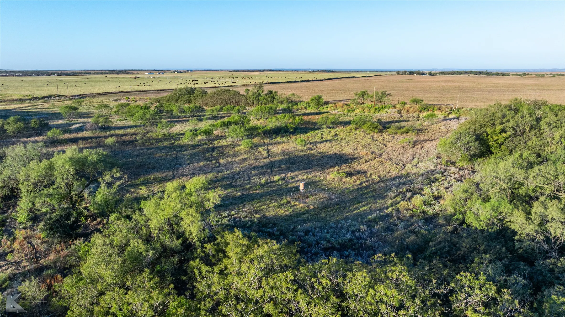 Improved Land For Sale in Haskell County , 728 County Road 154, Rule, Texas 79547, 0, 0, Garage spaces, 0 Sqft, built in 2012, Price $599,900, mls#21343878, Real Estate Agent in Rule, Homes For Sale in Haskell county, Homes For Sale in Rule, Realtor in Rule Texas, Real Estate Brokerage Independent Realty Texas, Luminita Cordes Realtor