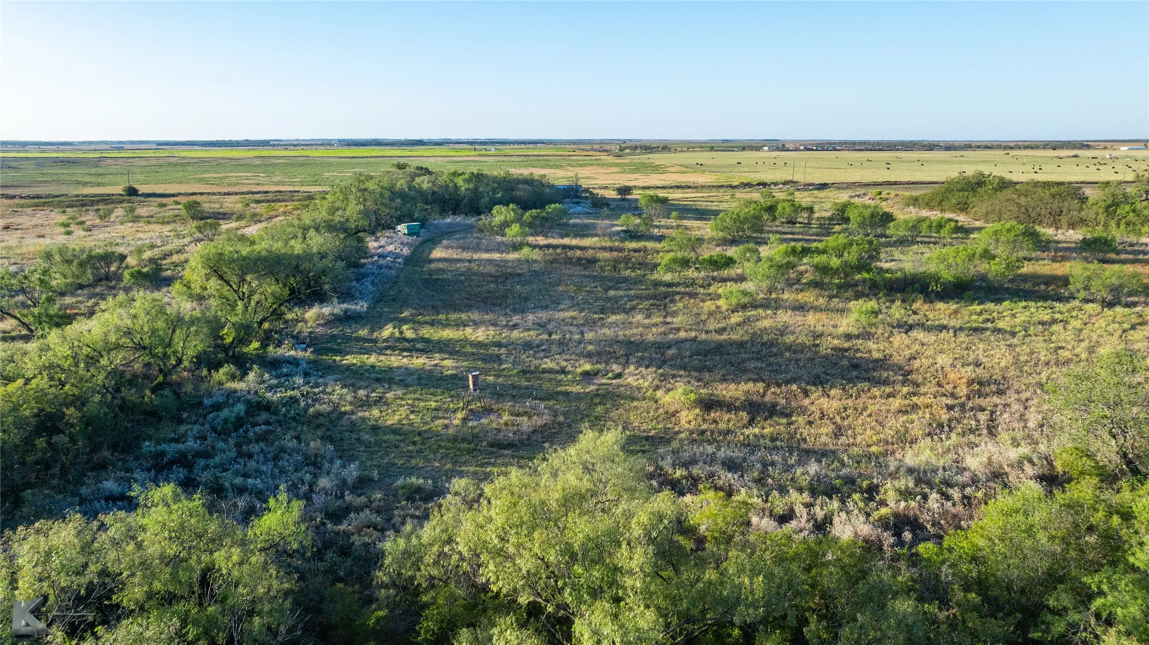 Improved Land For Sale in Haskell County , 728 County Road 154, Rule, Texas 79547, 0, 0, Garage spaces, 0 Sqft, built in 2012, Price $599,900, mls#21343878, Real Estate Agent in Rule, Homes For Sale in Haskell county, Homes For Sale in Rule, Realtor in Rule Texas, Real Estate Brokerage Independent Realty Texas, Luminita Cordes Realtor