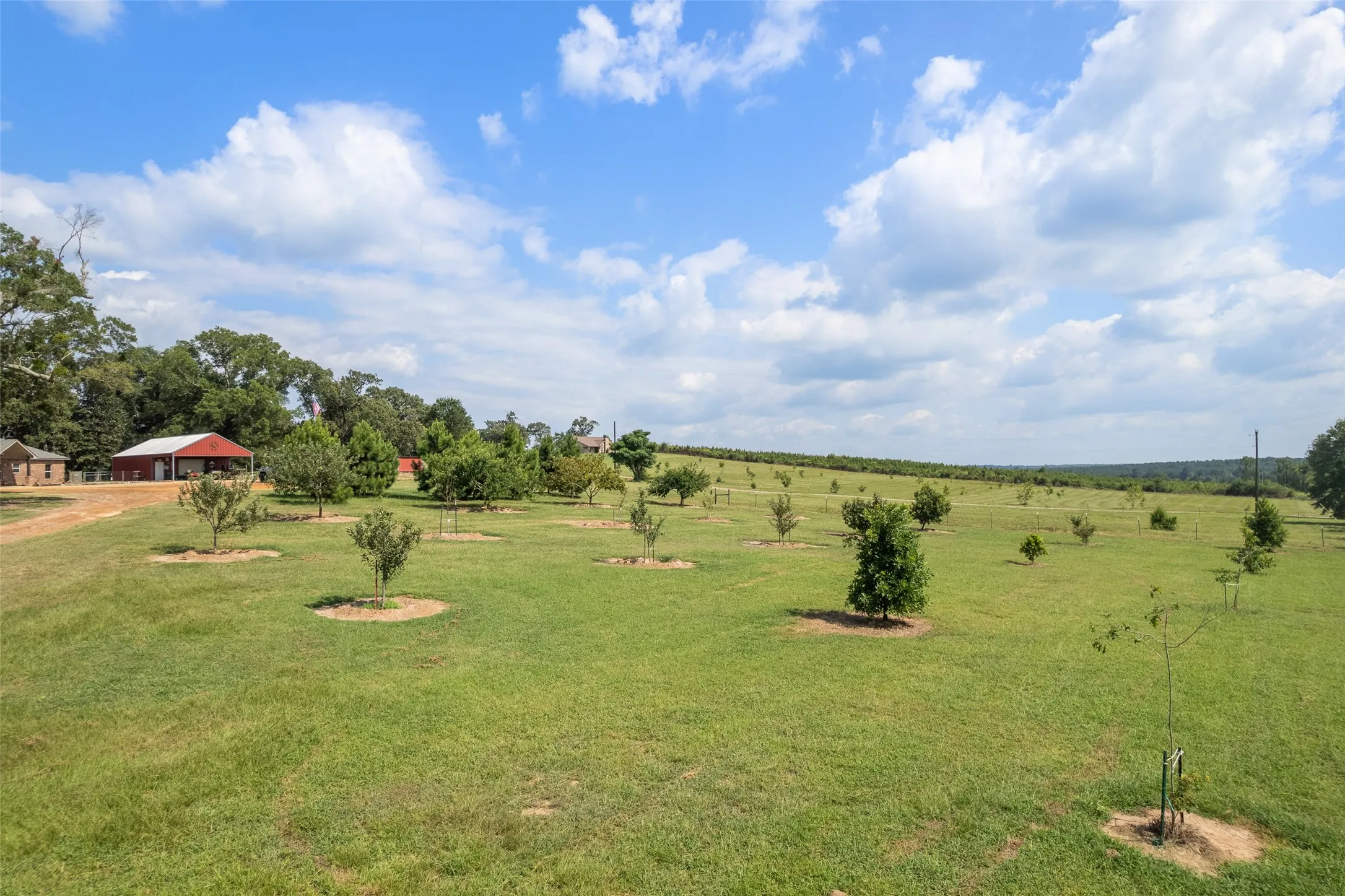 Farm For Sale in Cass County , 6774 FM 2888, Naples, Texas 75568, 3 Bedroom, 2 Bathroom, 1 Garage spaces, 1,620 Sqft, built in 2020, mls#21343981, Real Estate Agent in Naples, Homes For Sale in Cass county, Homes For Sale in Naples, Realtor in Naples Texas, Real Estate Brokerage Independent Realty Texas, Luminita Cordes Realtor