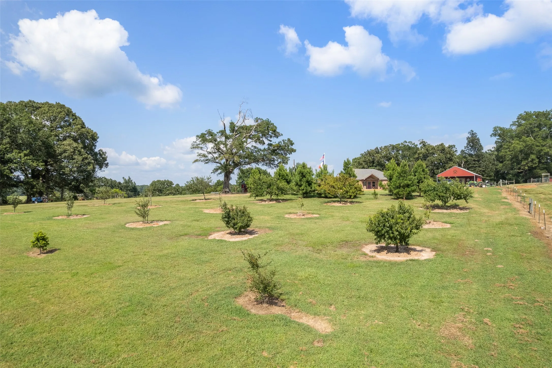 Farm For Sale in Cass County , 6774 FM 2888, Naples, Texas 75568, 3 Bedroom, 2 Bathroom, 1 Garage spaces, 1,620 Sqft, built in 2020, mls#21343981, Real Estate Agent in Naples, Homes For Sale in Cass county, Homes For Sale in Naples, Realtor in Naples Texas, Real Estate Brokerage Independent Realty Texas, Luminita Cordes Realtor