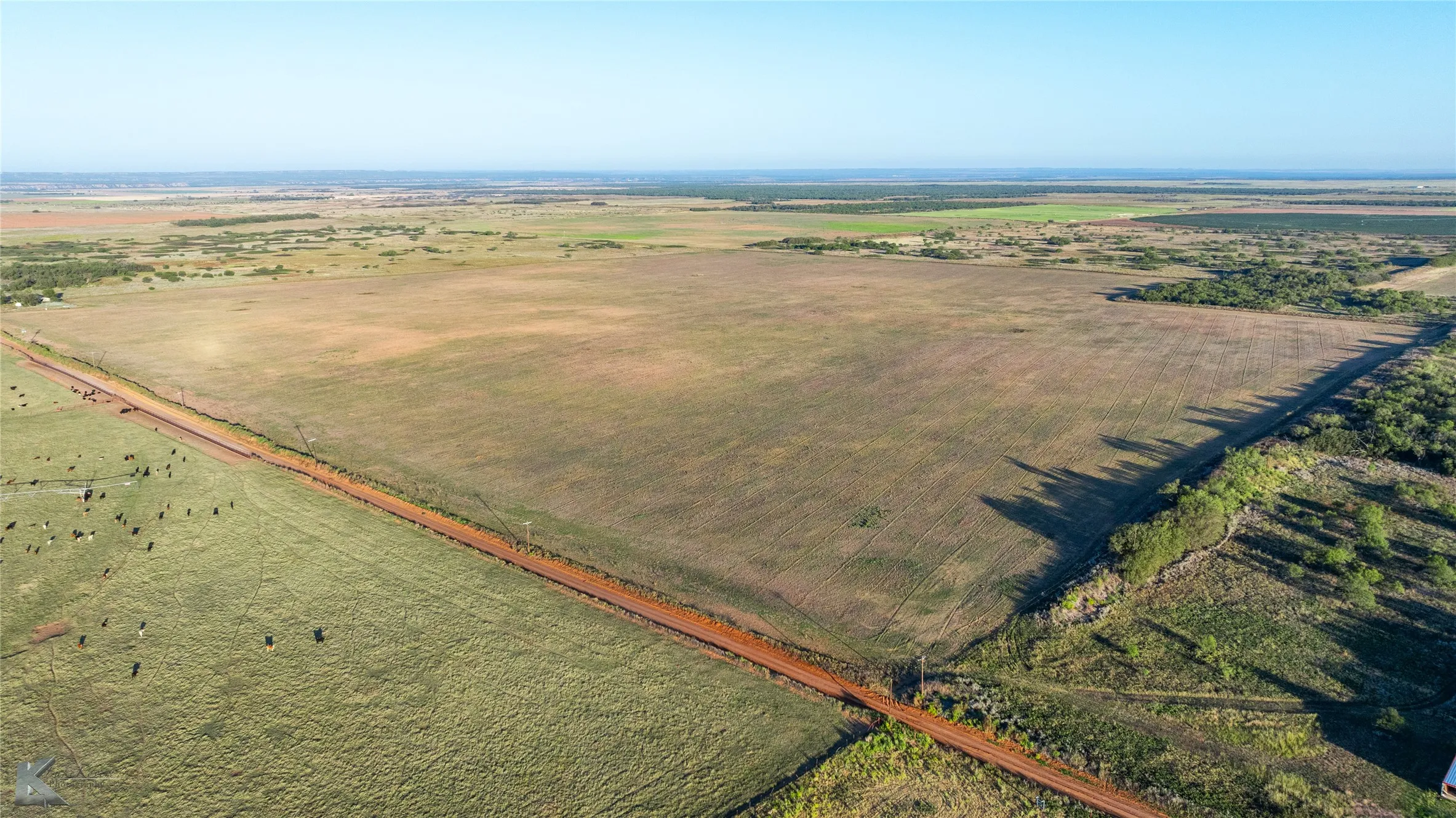 Unimproved Land For Sale in Haskell County , 100 Acres County Road 154, Rule, Texas 79547, 0, 0, Garage spaces, 0 Sqft, built in 0, Price $320,000, mls#21344018, Real Estate Agent in Rule, Homes For Sale in Haskell county, Homes For Sale in Rule, Realtor in Rule Texas, Real Estate Brokerage Independent Realty Texas, Luminita Cordes Realtor