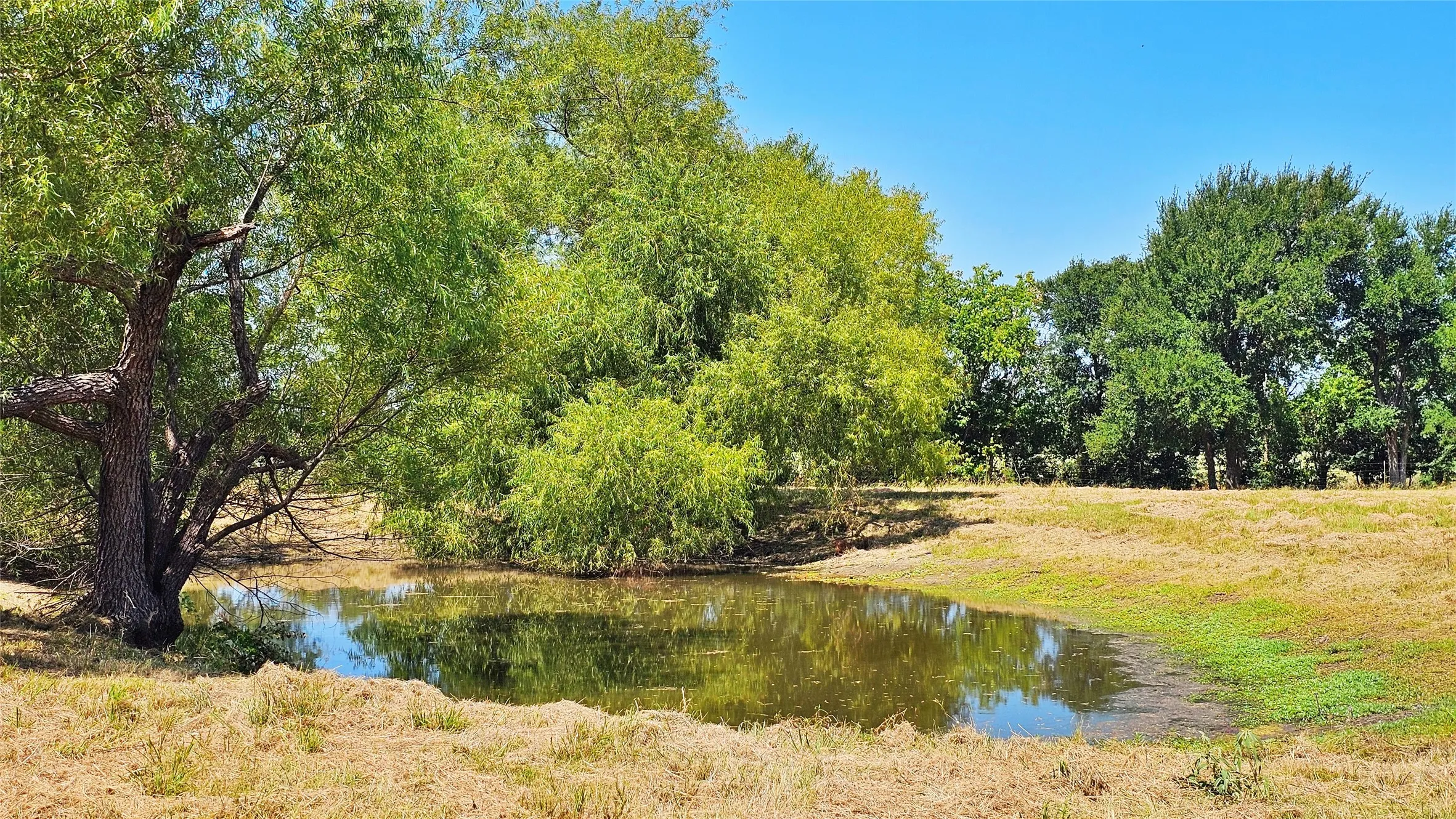 Farm For Sale in Hunt County , 2247 County Road 2130, Greenville, Texas 75402, 4 Bedroom, 2 Bathroom, 4 Garage spaces, 2,356 Sqft, built in 1999, mls#21343475, Real Estate Agent in Greenville, Homes For Sale in Hunt county, Homes For Sale in Greenville, Realtor in Greenville Texas, Real Estate Brokerage Independent Realty Texas, Luminita Cordes Realtor