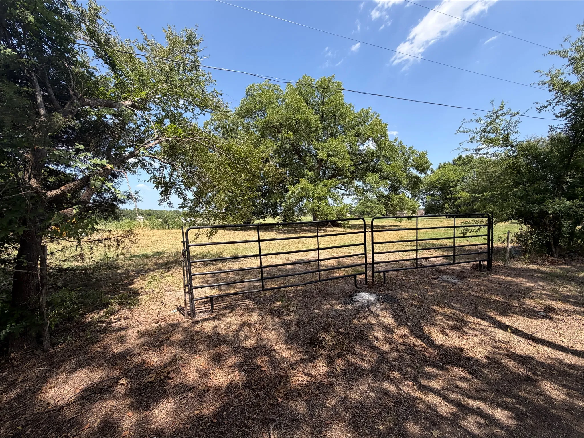Unimproved Land For Sale in Rains County , 1195 RS COUNTY ROAD 1301 Road, Emory, Texas 75440, 0, 0, Garage spaces, 0 Sqft, built in 0, mls#21343607, Real Estate Agent in Emory, Homes For Sale in Rains county, Homes For Sale in Emory, Realtor in Emory Texas, Real Estate Brokerage Independent Realty Texas, Luminita Cordes Realtor