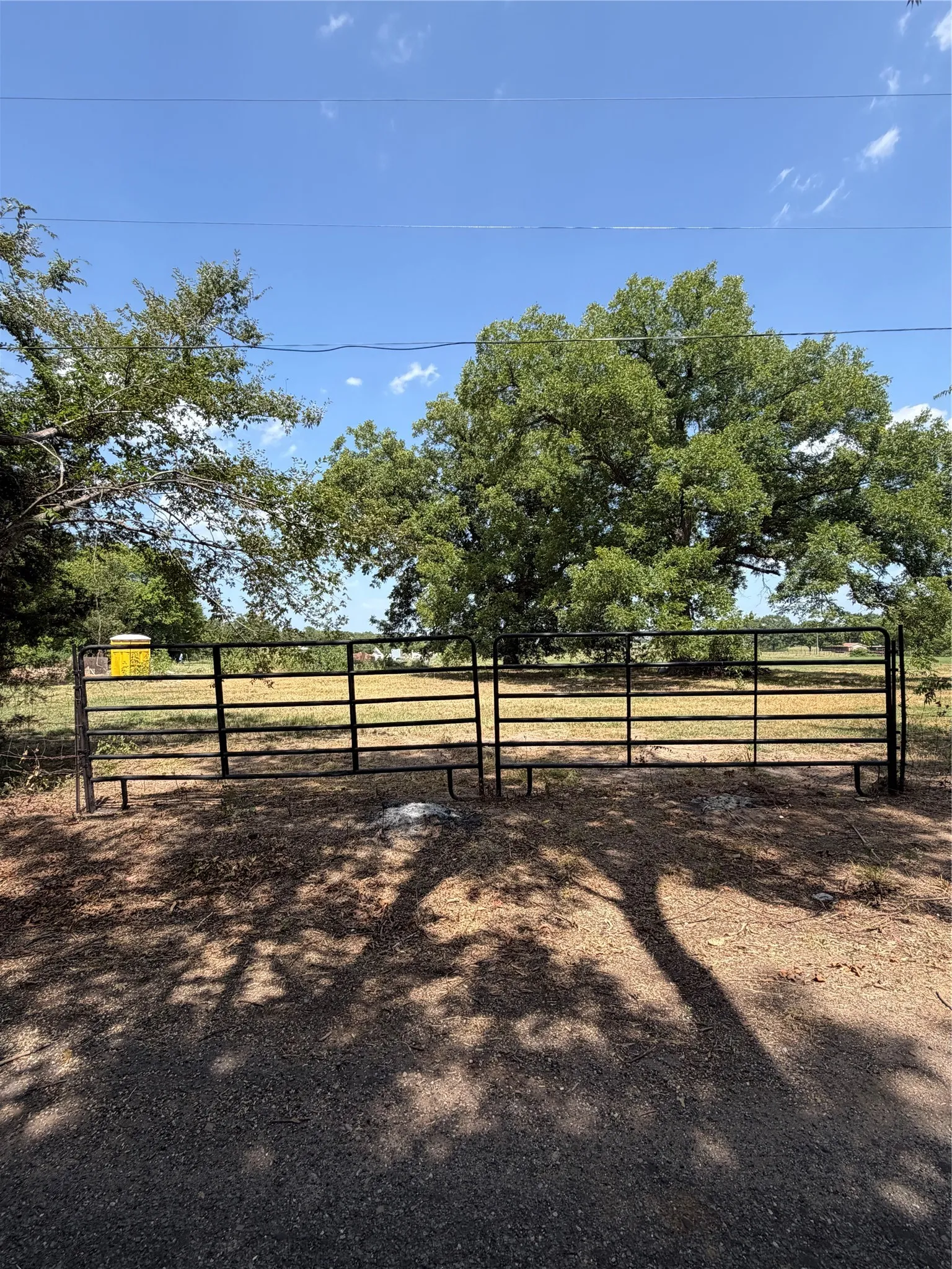 Unimproved Land For Sale in Rains County , 1195 RS COUNTY ROAD 1301 Road, Emory, Texas 75440, 0, 0, Garage spaces, 0 Sqft, built in 0, mls#21343607, Real Estate Agent in Emory, Homes For Sale in Rains county, Homes For Sale in Emory, Realtor in Emory Texas, Real Estate Brokerage Independent Realty Texas, Luminita Cordes Realtor