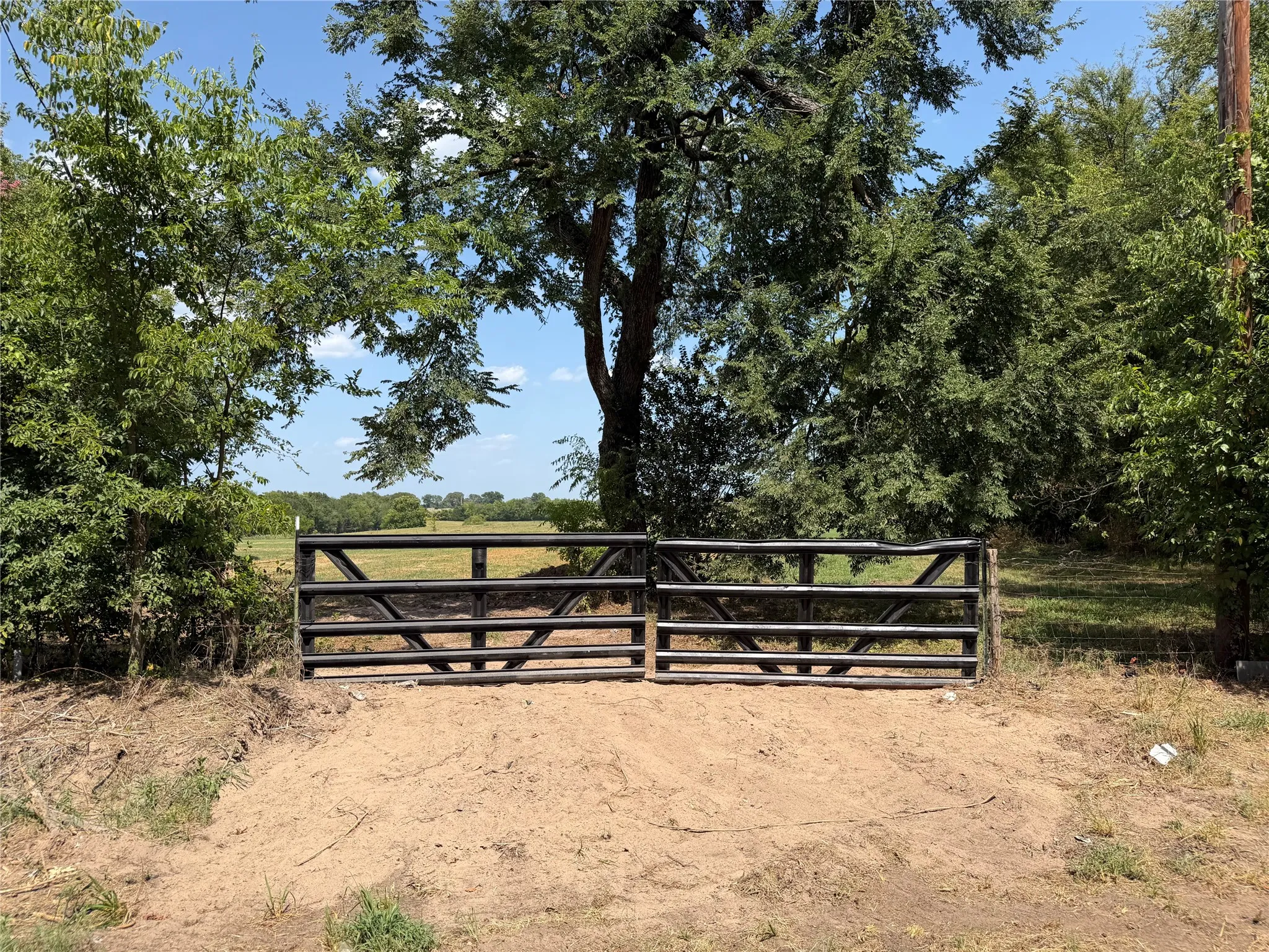 Unimproved Land For Sale in Rains County , 1195 RS COUNTY 1301 Road, Emory, Texas 75440, 0, 0, Garage spaces, 0 Sqft, built in 0, mls#21343623, Real Estate Agent in Emory, Homes For Sale in Rains county, Homes For Sale in Emory, Realtor in Emory Texas, Real Estate Brokerage Independent Realty Texas, Luminita Cordes Realtor
