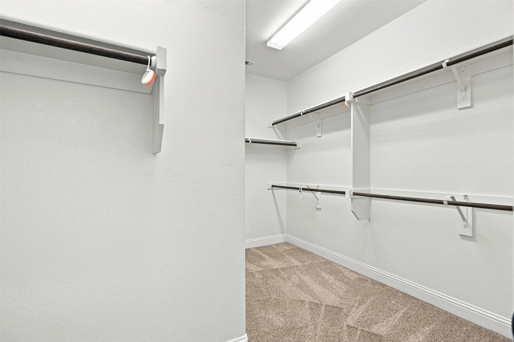 Expansive closet featuring multiple clothing rods, integrated shelving, bright ceiling lighting, and neutral carpeting