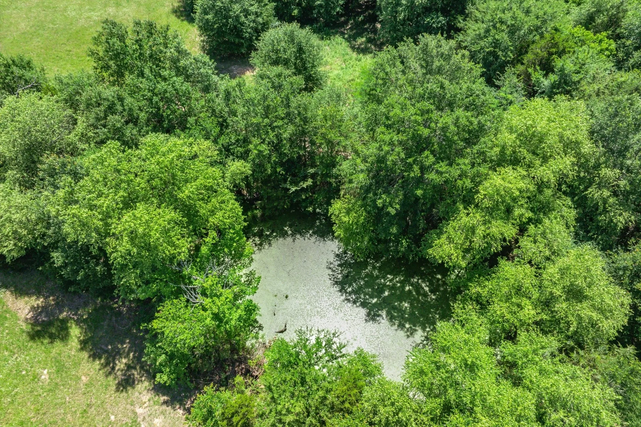 Unimproved Land For Sale in Rains County , Lot 5 State Hwy 19, Emory, Texas 75440, 0, 0, Garage spaces, 0 Sqft, built in 0, Price $288,800, mls#21340790, Real Estate Agent in Emory, Homes For Sale in Rains county, Homes For Sale in Emory, Realtor in Emory Texas, Real Estate Brokerage Independent Realty Texas, Luminita Cordes Realtor