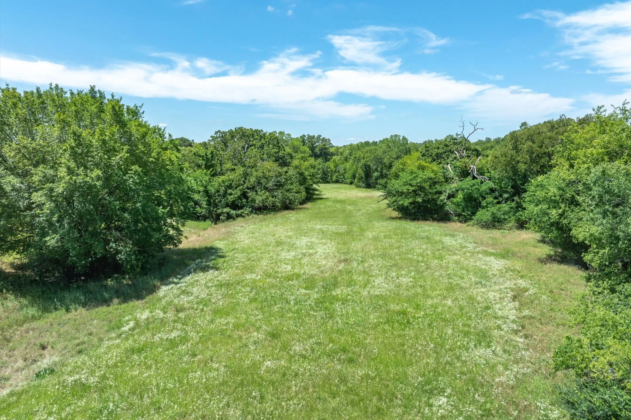 Unimproved Land For Sale in Rains County , Lot 5 State Hwy 19, Emory, Texas 75440, 0, 0, Garage spaces, 0 Sqft, built in 0, Price $288,800, mls#21340790, Real Estate Agent in Emory, Homes For Sale in Rains county, Homes For Sale in Emory, Realtor in Emory Texas, Real Estate Brokerage Independent Realty Texas, Luminita Cordes Realtor