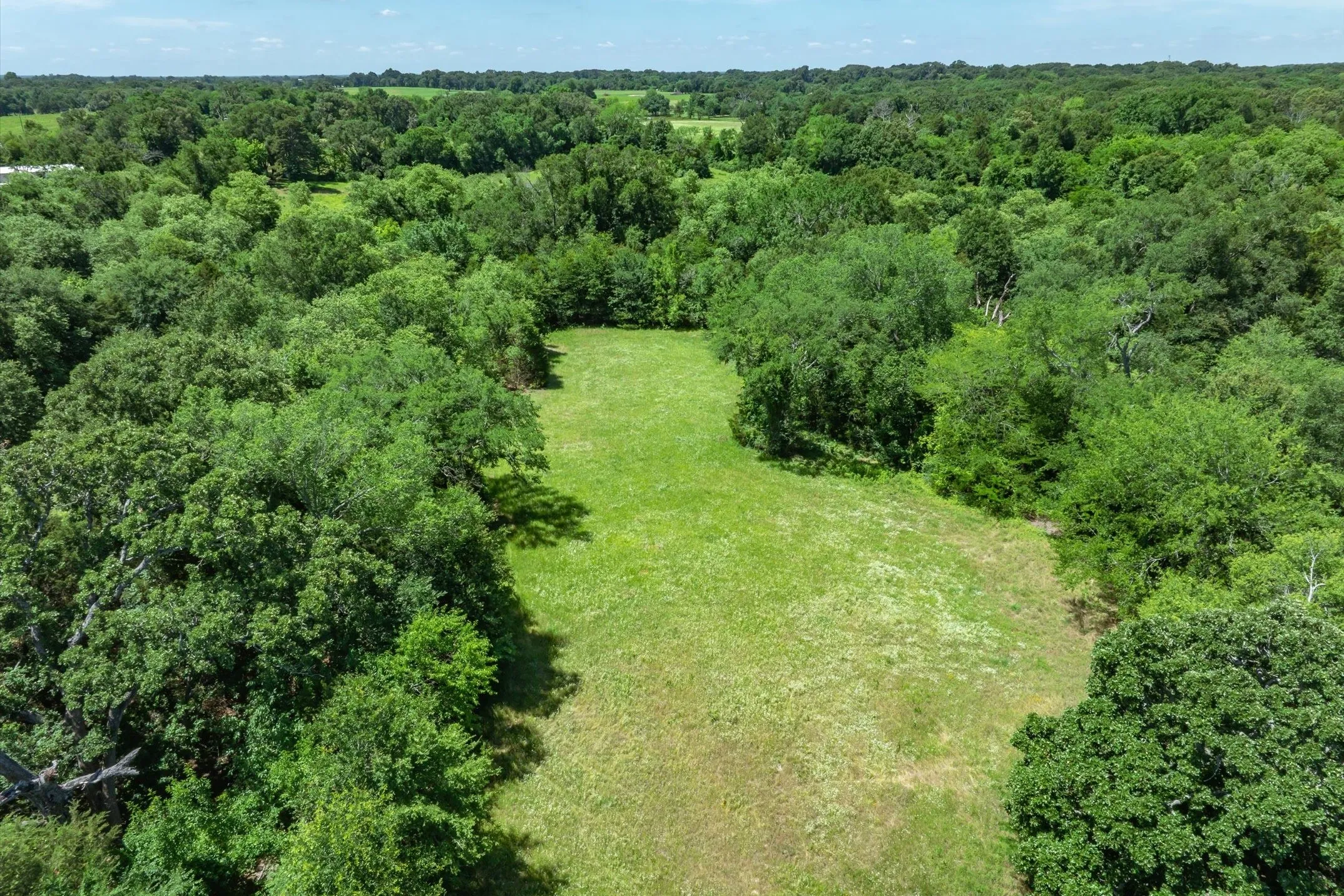 Unimproved Land For Sale in Rains County , Lot 5 State Hwy 19, Emory, Texas 75440, 0, 0, Garage spaces, 0 Sqft, built in 0, Price $288,800, mls#21340790, Real Estate Agent in Emory, Homes For Sale in Rains county, Homes For Sale in Emory, Realtor in Emory Texas, Real Estate Brokerage Independent Realty Texas, Luminita Cordes Realtor