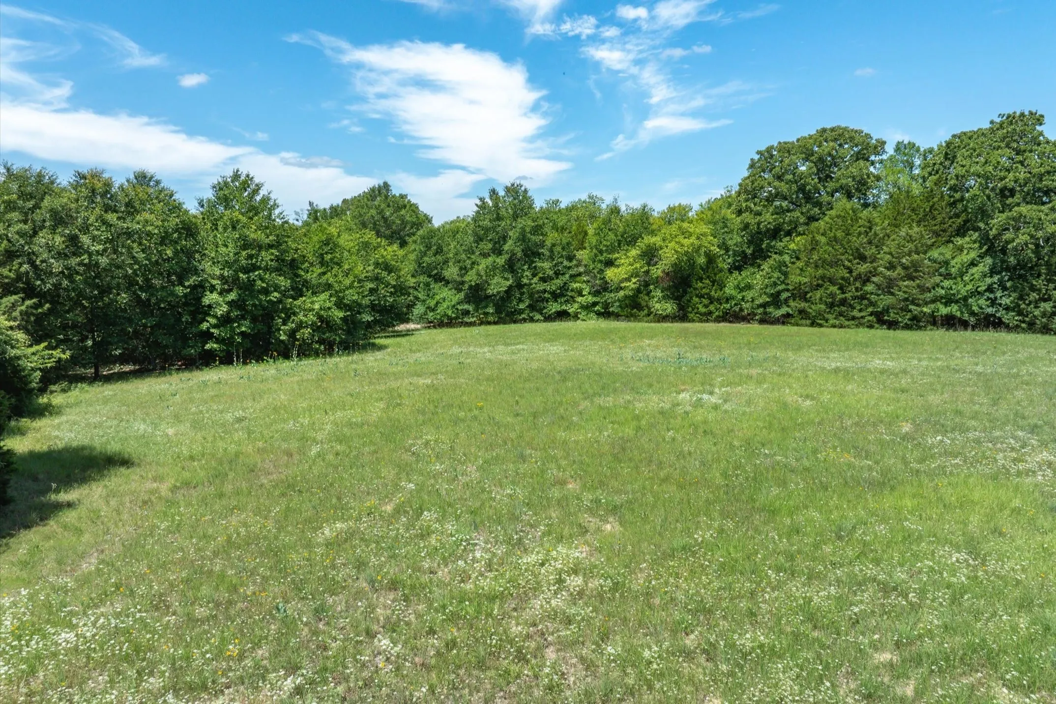 Unimproved Land For Sale in Rains County , Lot 5 State Hwy 19, Emory, Texas 75440, 0, 0, Garage spaces, 0 Sqft, built in 0, Price $288,800, mls#21340790, Real Estate Agent in Emory, Homes For Sale in Rains county, Homes For Sale in Emory, Realtor in Emory Texas, Real Estate Brokerage Independent Realty Texas, Luminita Cordes Realtor
