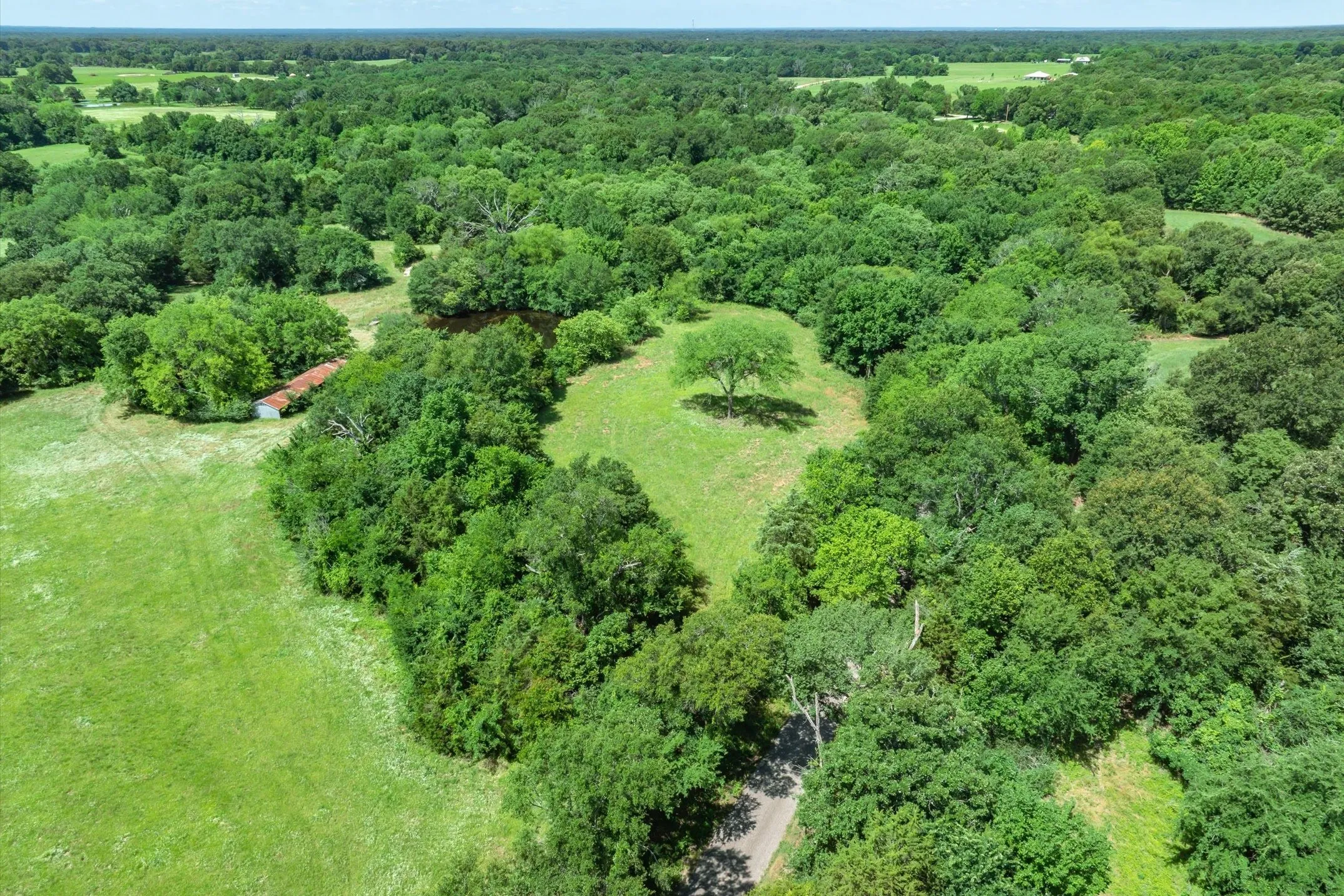 Unimproved Land For Sale in Rains County , Lot 6 RS CR 1150, Emory, Texas 75440, 0, 0, Garage spaces, 0 Sqft, built in 0, Price $175,988, mls#21340800, Real Estate Agent in Emory, Homes For Sale in Rains county, Homes For Sale in Emory, Realtor in Emory Texas, Real Estate Brokerage Independent Realty Texas, Luminita Cordes Realtor