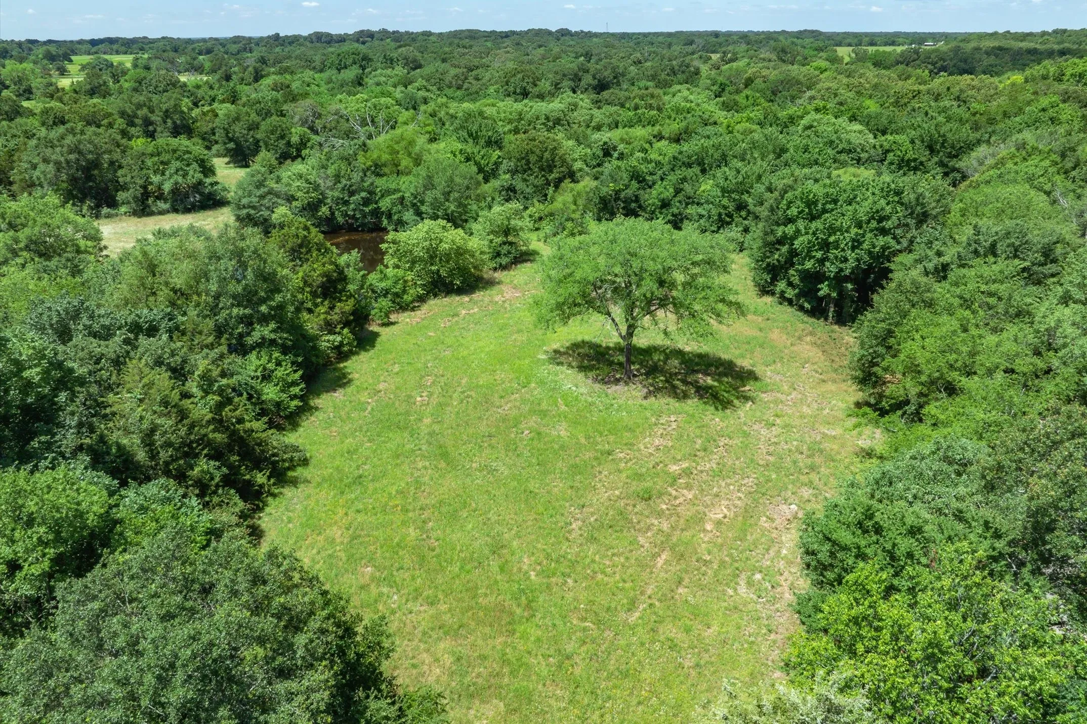 Unimproved Land For Sale in Rains County , Lot 6 RS CR 1150, Emory, Texas 75440, 0, 0, Garage spaces, 0 Sqft, built in 0, Price $175,988, mls#21340800, Real Estate Agent in Emory, Homes For Sale in Rains county, Homes For Sale in Emory, Realtor in Emory Texas, Real Estate Brokerage Independent Realty Texas, Luminita Cordes Realtor