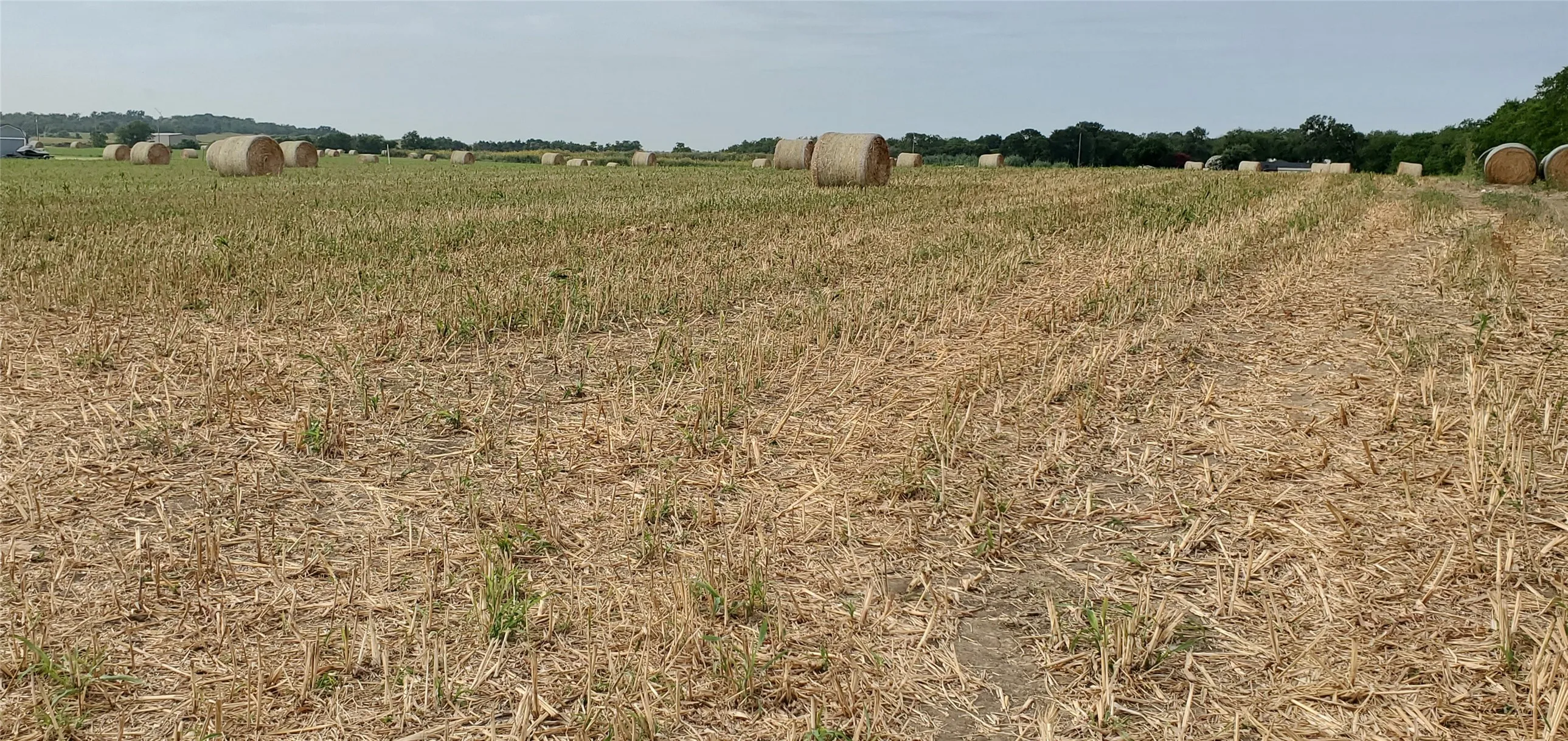 Ranch For Sale in Bell County , 6939 Cedar Creek Road, Temple, Texas 76504, 0, 0, Garage spaces, 0 Sqft, built in 0, mls#21344163, Real Estate Agent in Temple, Homes For Sale in Bell county, Homes For Sale in Temple, Realtor in Temple Texas, Real Estate Brokerage Independent Realty Texas, Luminita Cordes Realtor