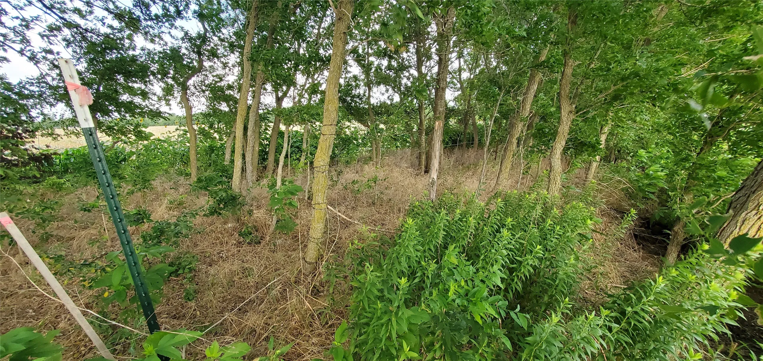 Ranch For Sale in Bell County , 6939 Cedar Creek Road, Temple, Texas 76504, 0, 0, Garage spaces, 0 Sqft, built in 0, mls#21344163, Real Estate Agent in Temple, Homes For Sale in Bell county, Homes For Sale in Temple, Realtor in Temple Texas, Real Estate Brokerage Independent Realty Texas, Luminita Cordes Realtor